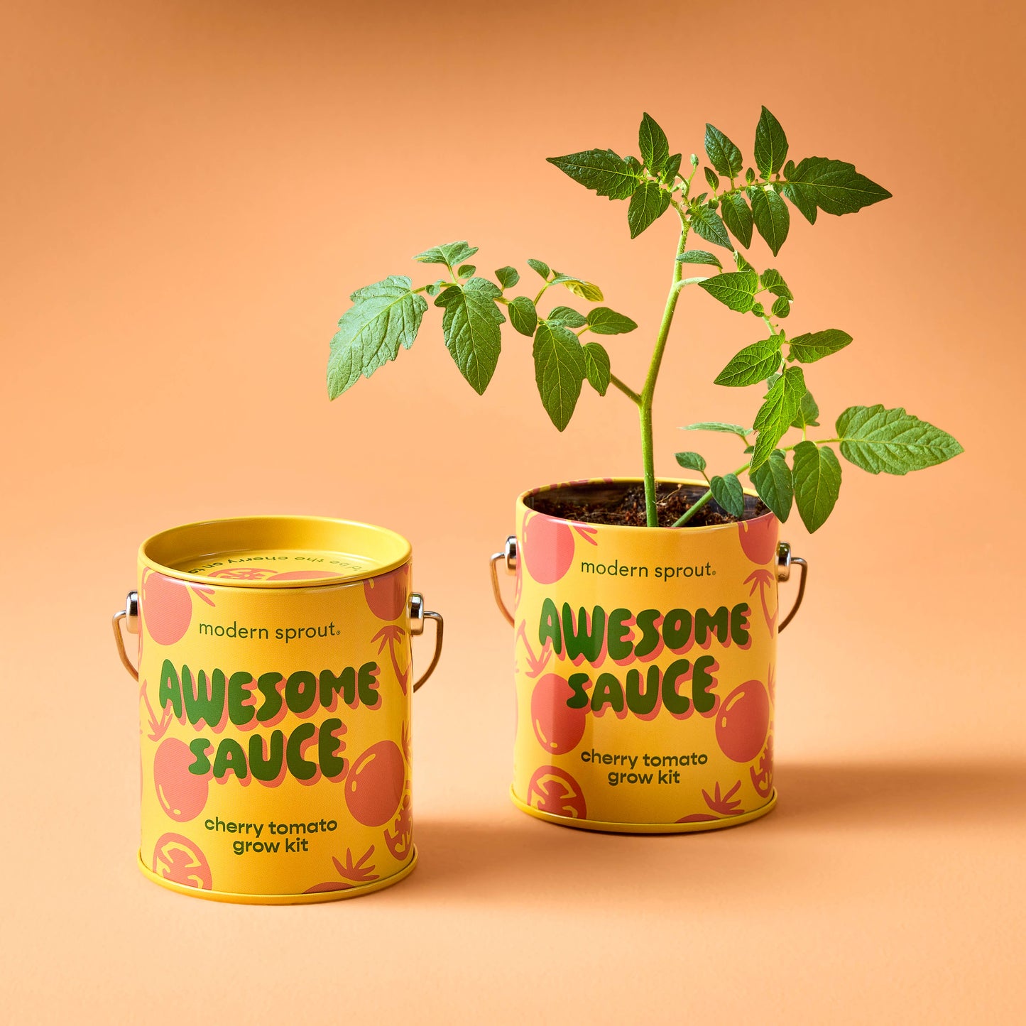 Complimentary Color Grow Kits Modern Sprout