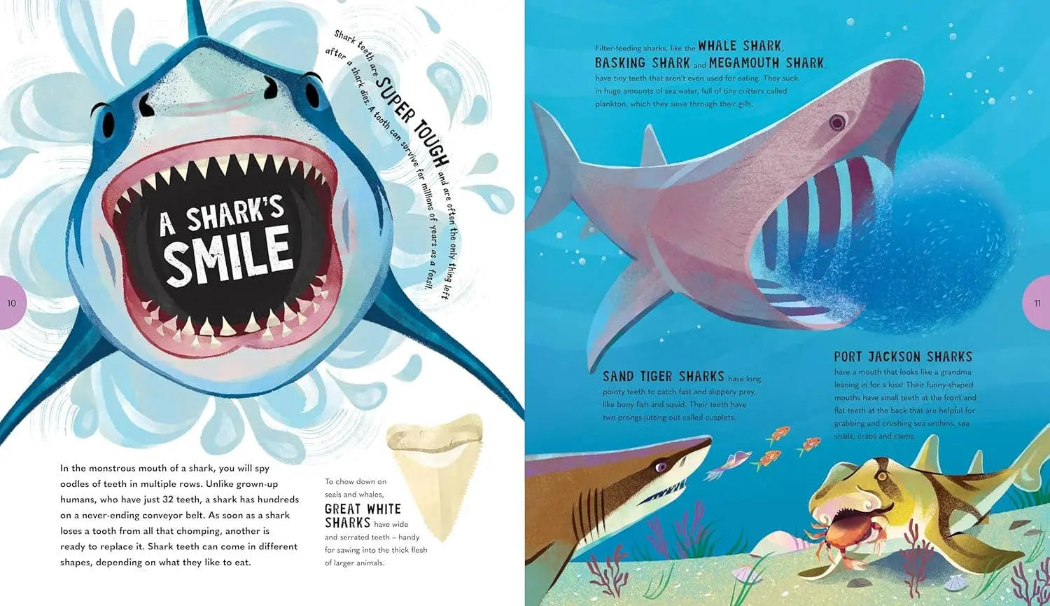 Sensational Sharks Chronicle Books