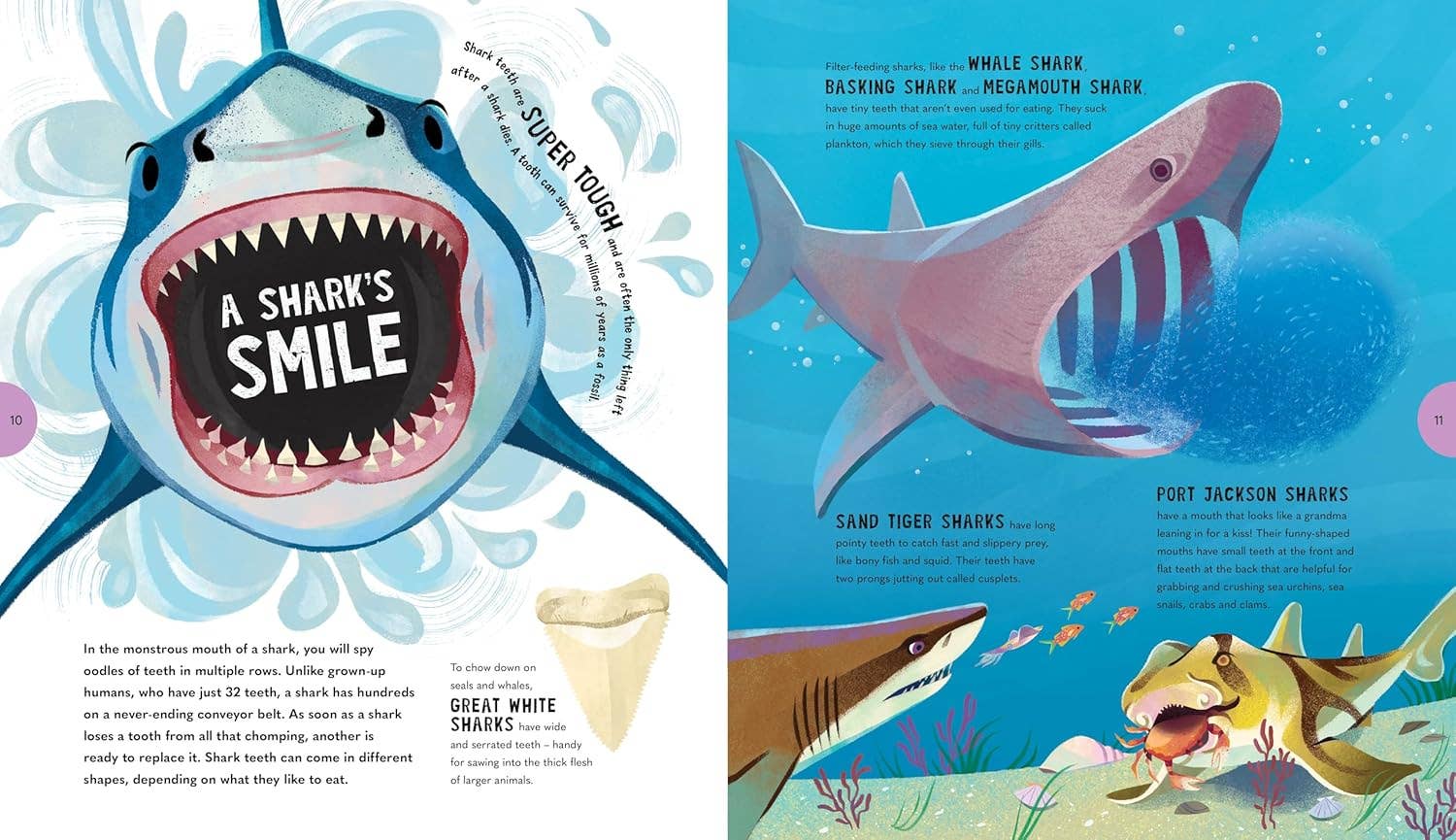 Sensational Sharks Chronicle Books