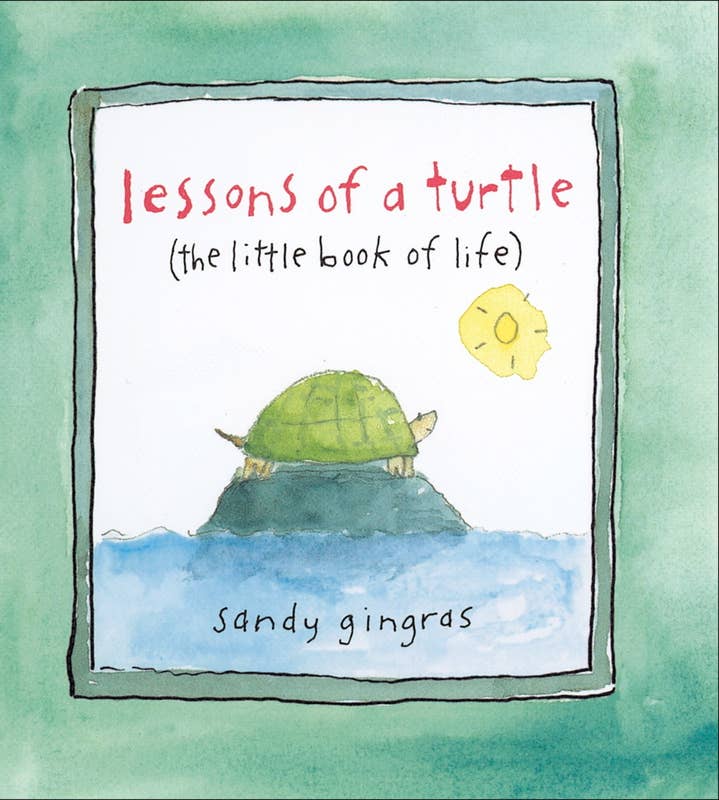 Lessons of a Turtle by Sandy  Gingras Simon & Schuster