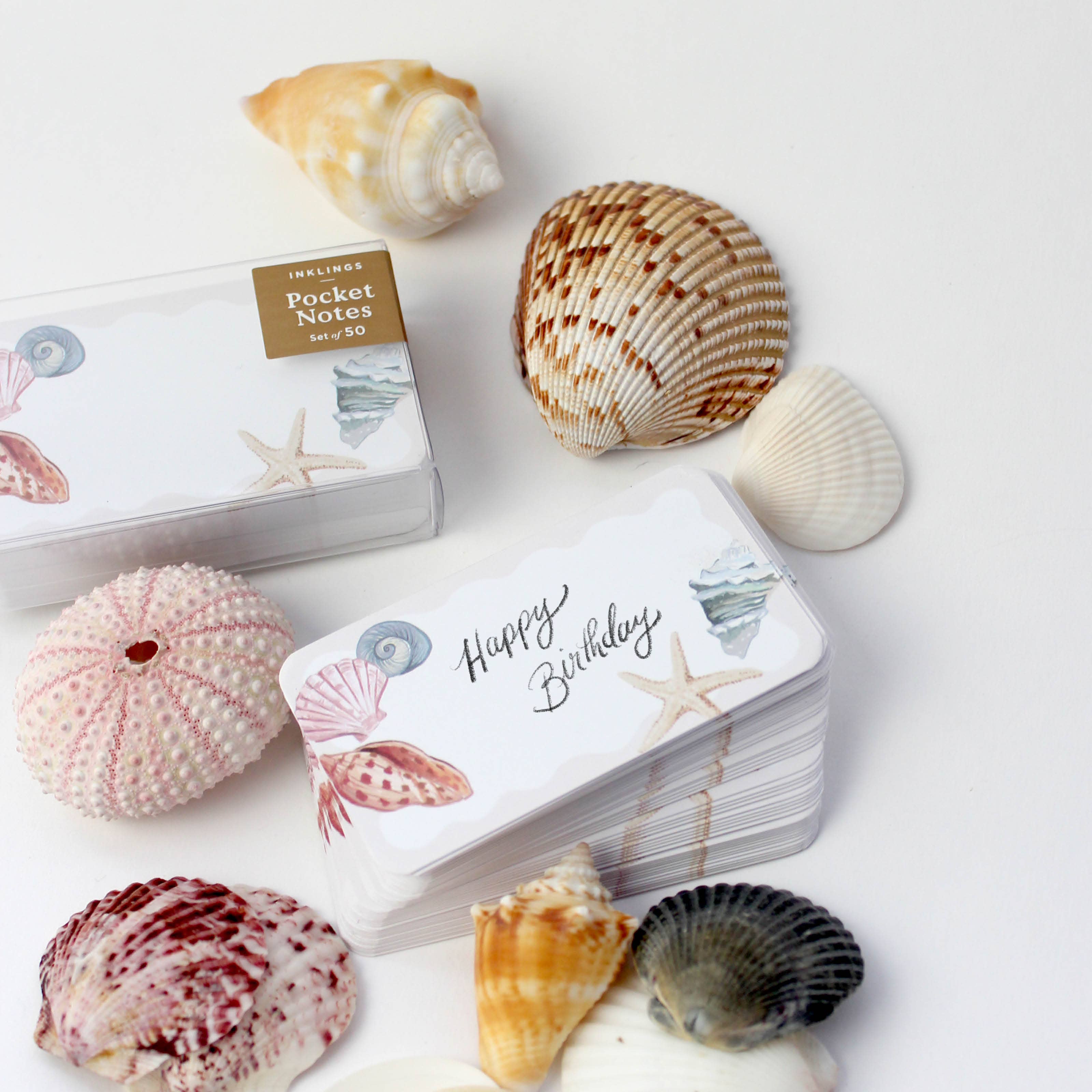 Seashells Pocket Notes