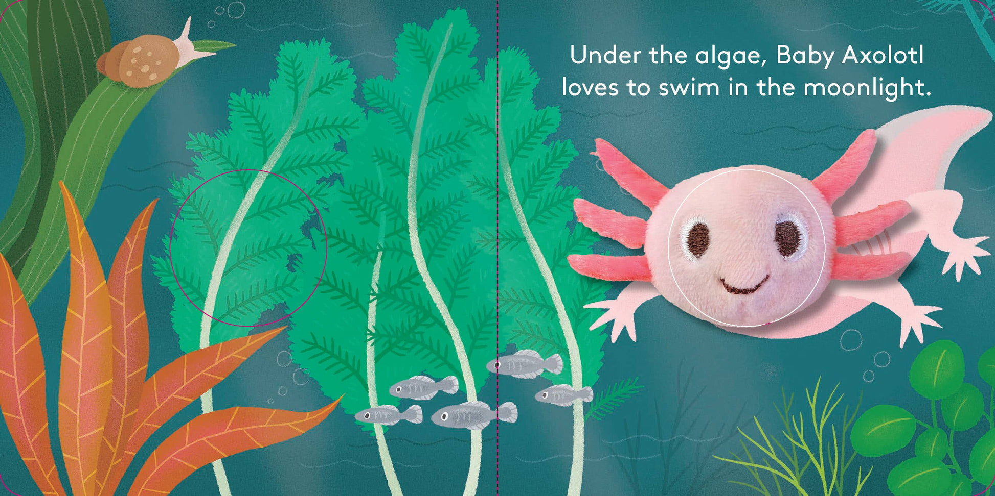 Baby Axolotl: Finger Puppet Book Chronicle Books