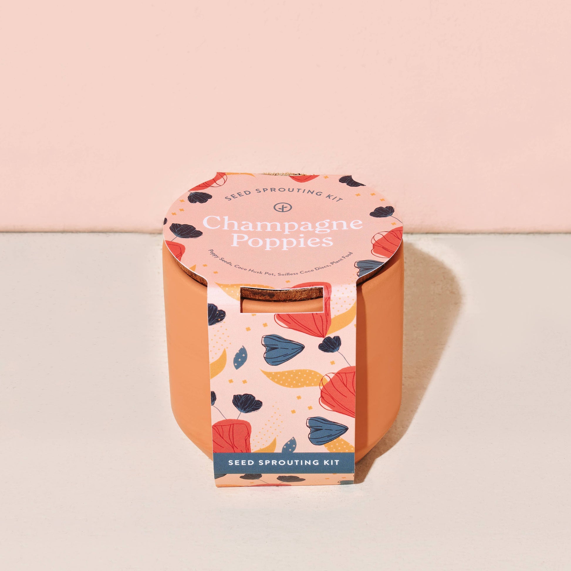 Tiny Terracotta Grow Kits Modern Sprout