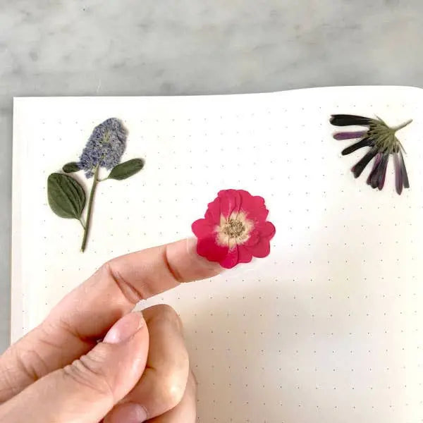 Pressed Flowers Sticker Sheet Botanopia USA - gifts , decor and cards for plant lovers
