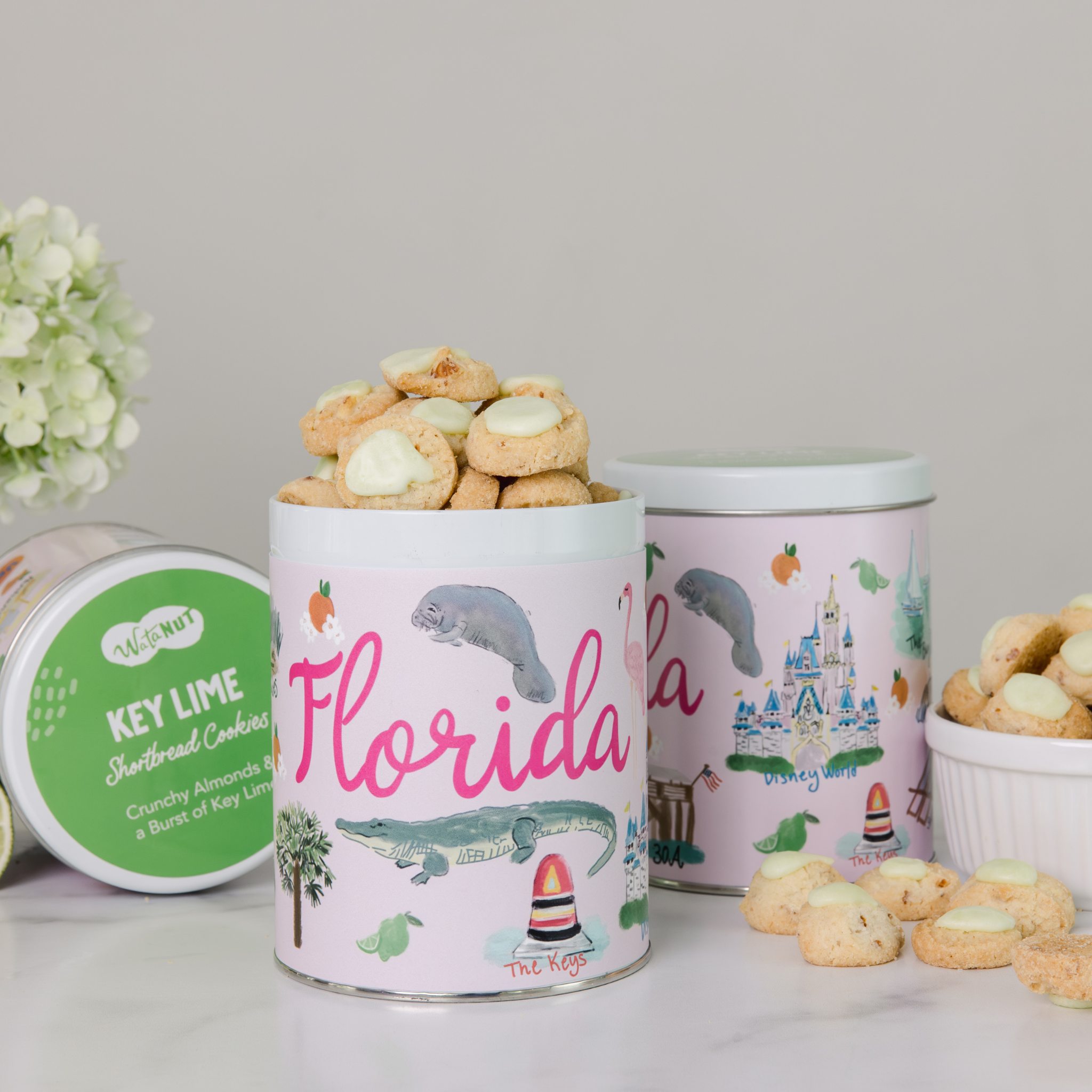 Florida State Gift Tin | Gourmet Shortbread Cookies or Nuts Watanut