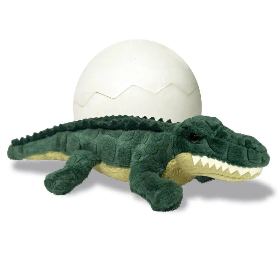 Alligator Hatchling Individual Eggs