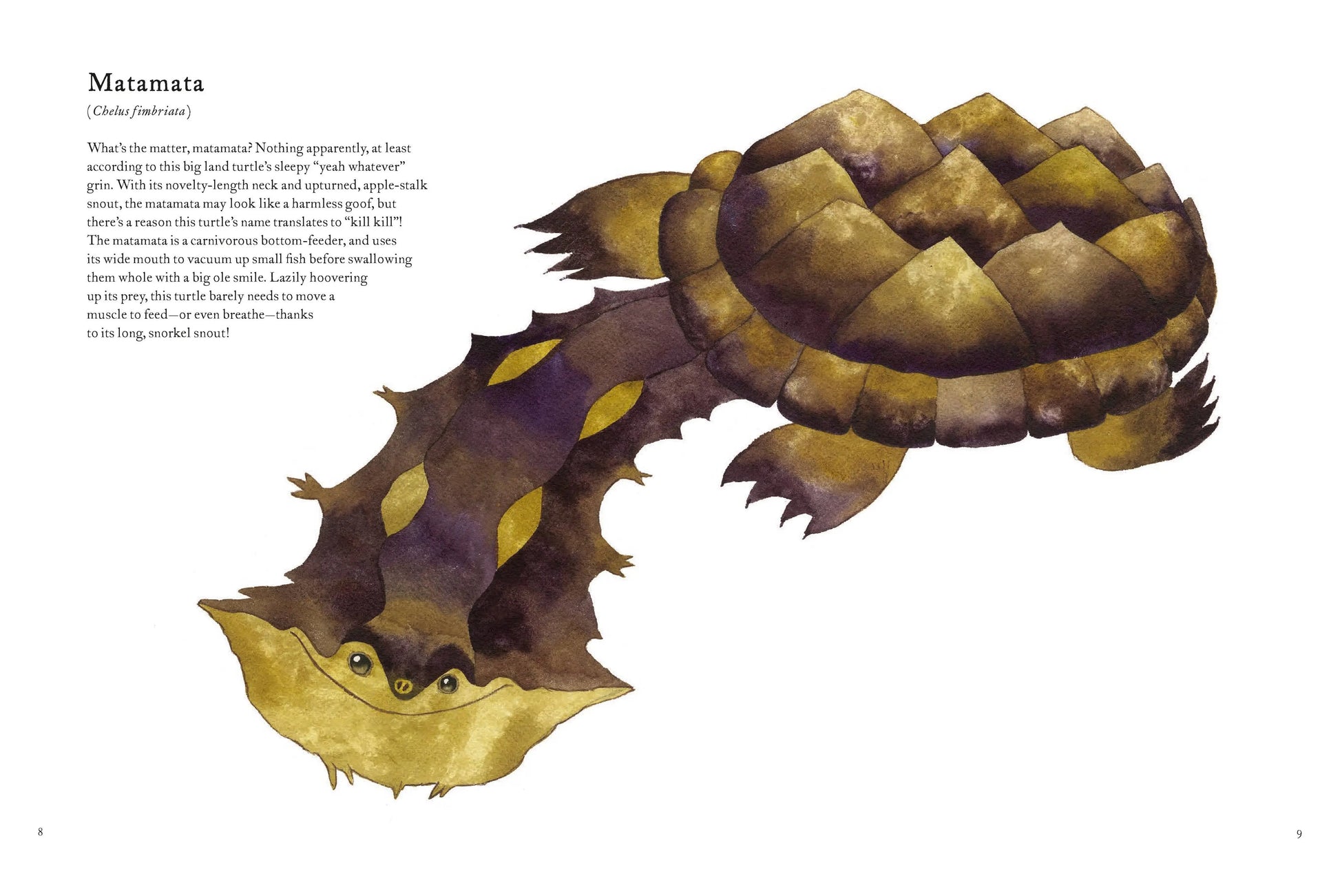 Colorful World of Reptiles Chronicle Books