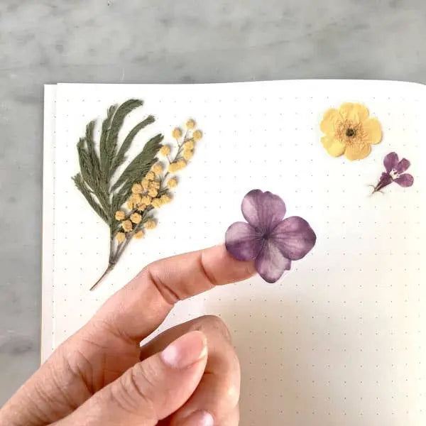 Pressed Flowers Sticker Sheet Botanopia USA - gifts , decor and cards for plant lovers