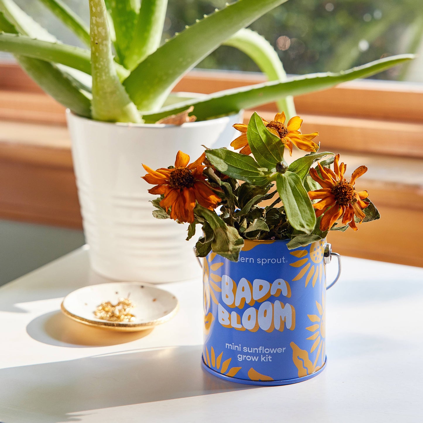 Complimentary Color Grow Kits Modern Sprout