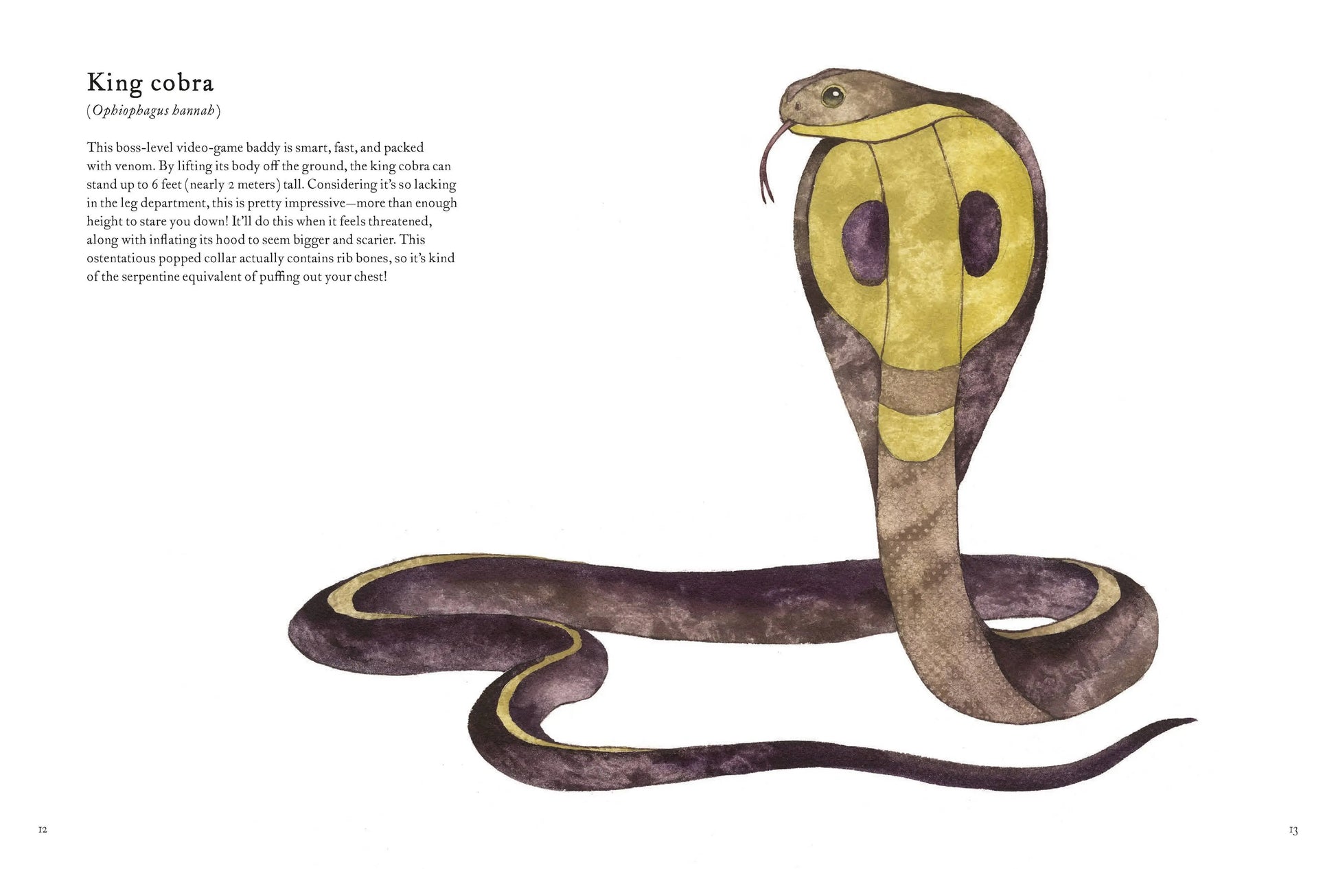 Colorful World of Reptiles Chronicle Books