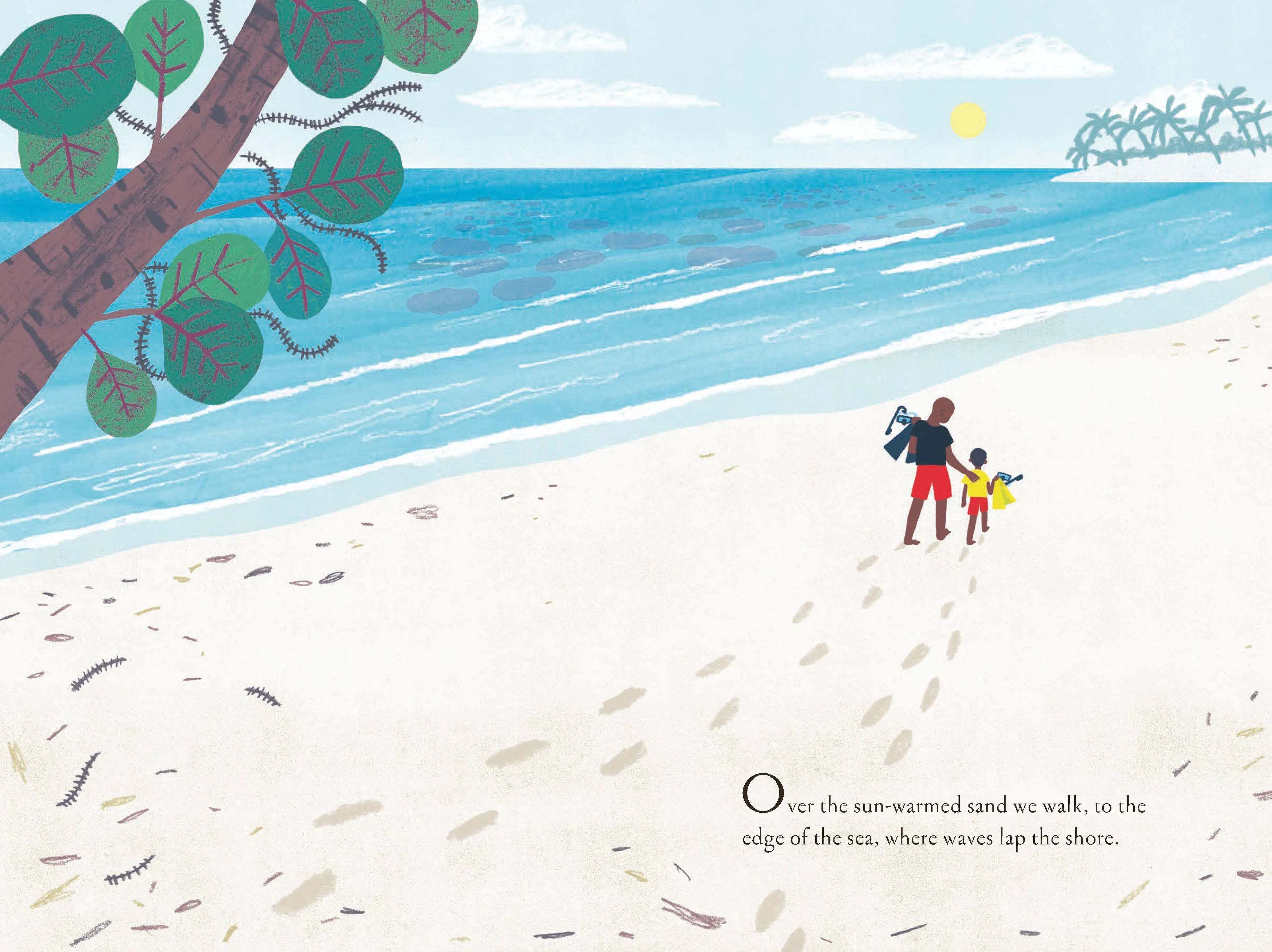 Over and Under the Coral Reef Chronicle Books