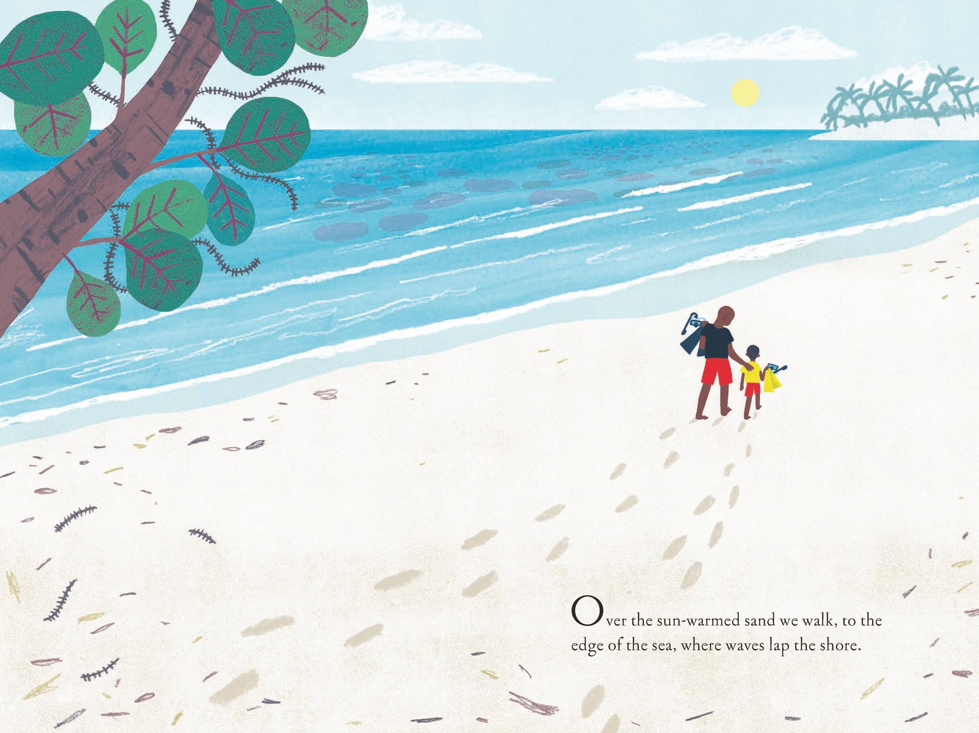 Over and Under the Coral Reef Chronicle Books
