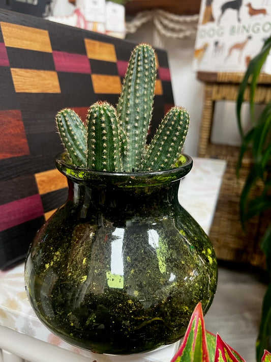 Peanut Cactus