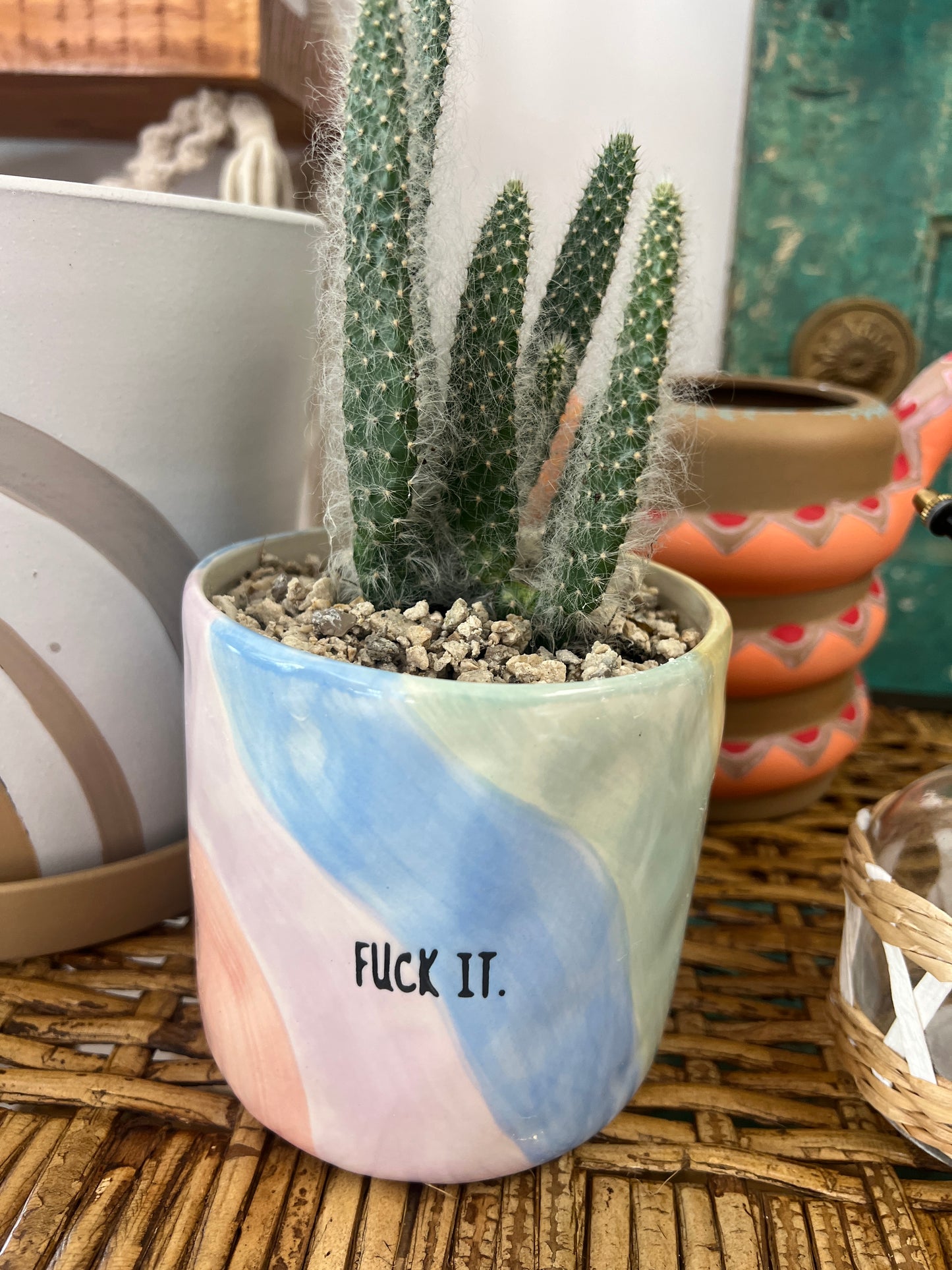 F it Pot and Snow White Cactus