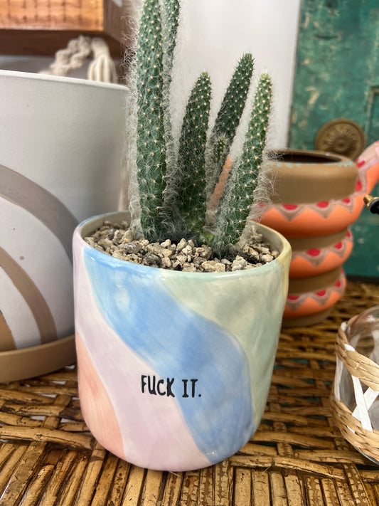 F it Pot and Snow White Cactus