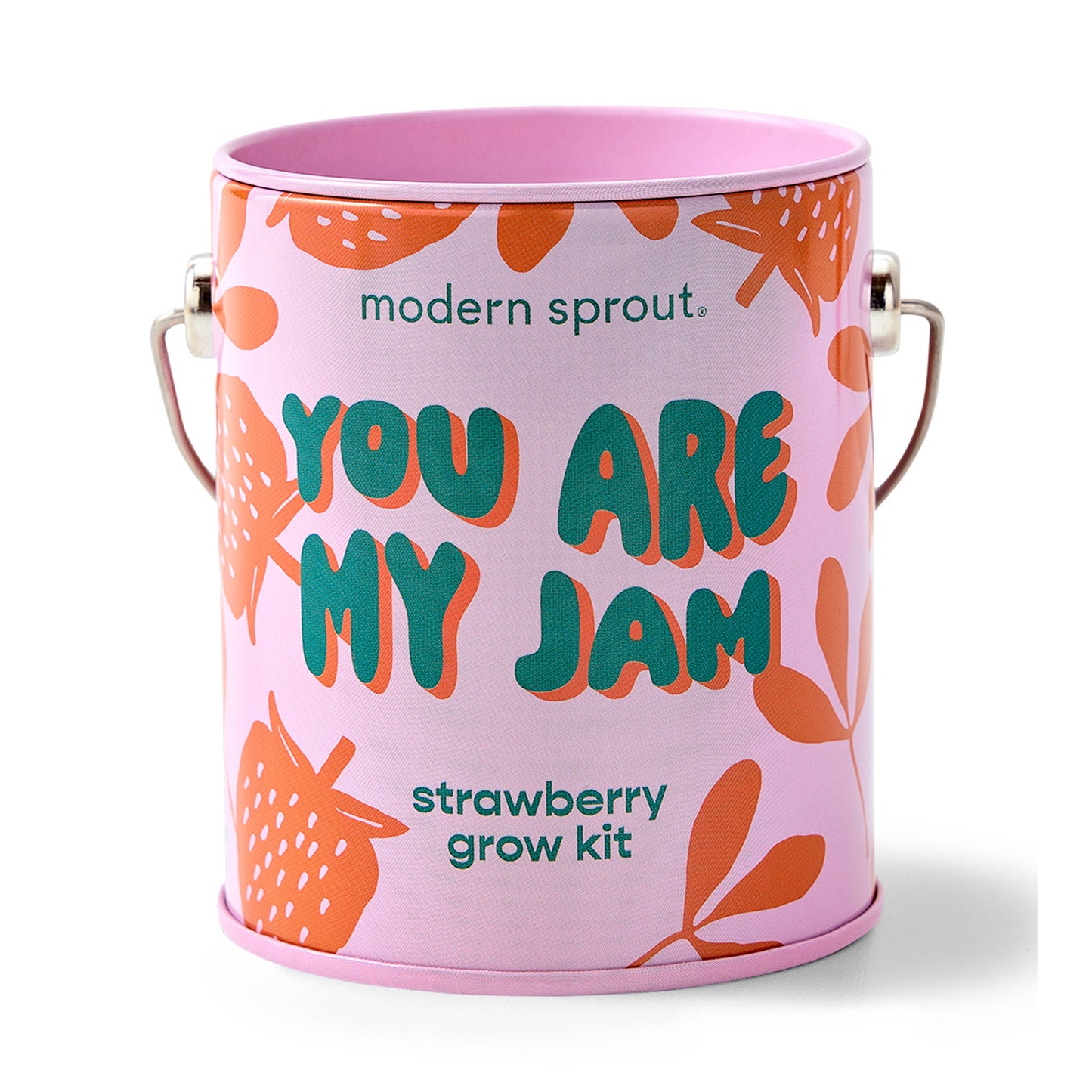 Complimentary Color Grow Kits Modern Sprout