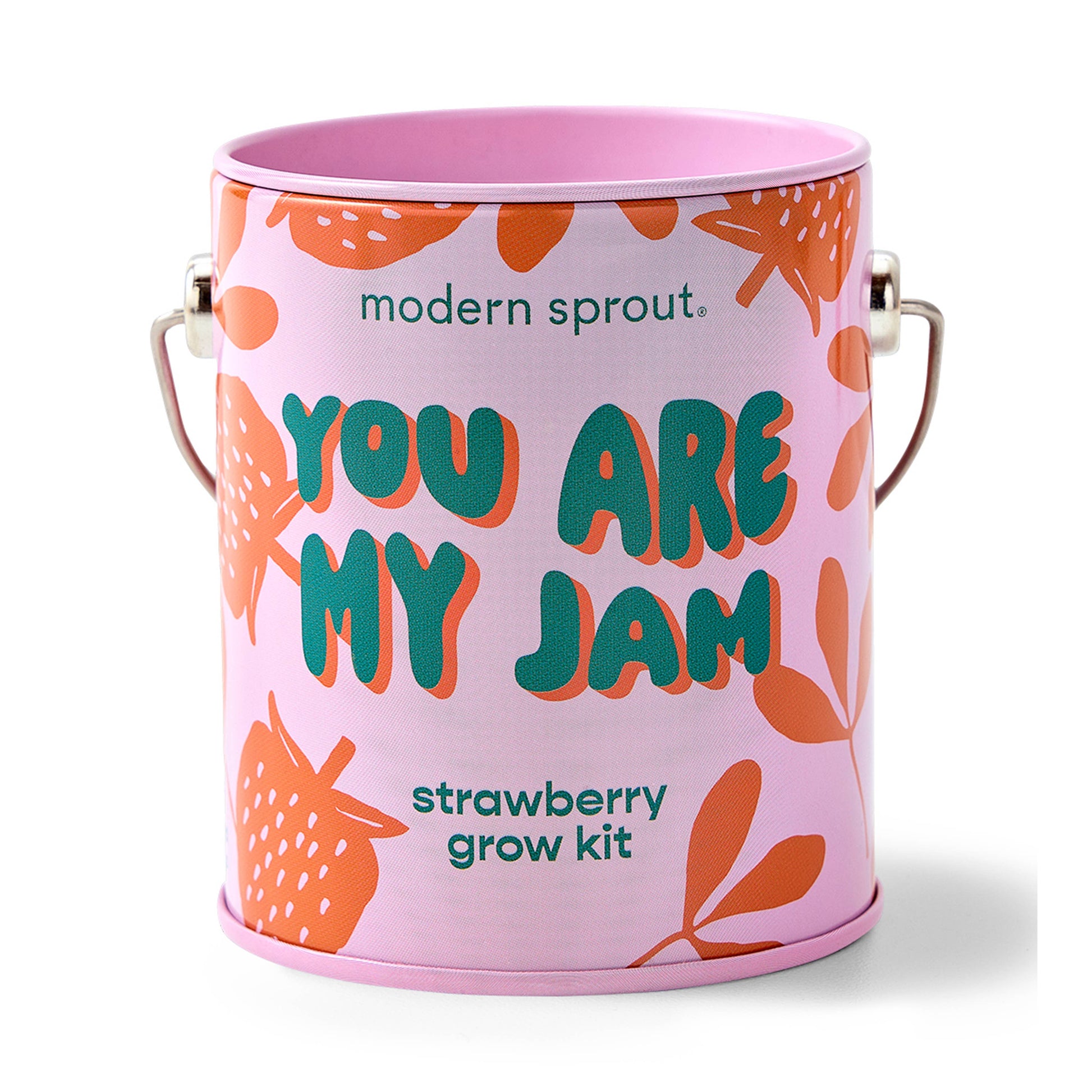 Complimentary Color Grow Kits Modern Sprout