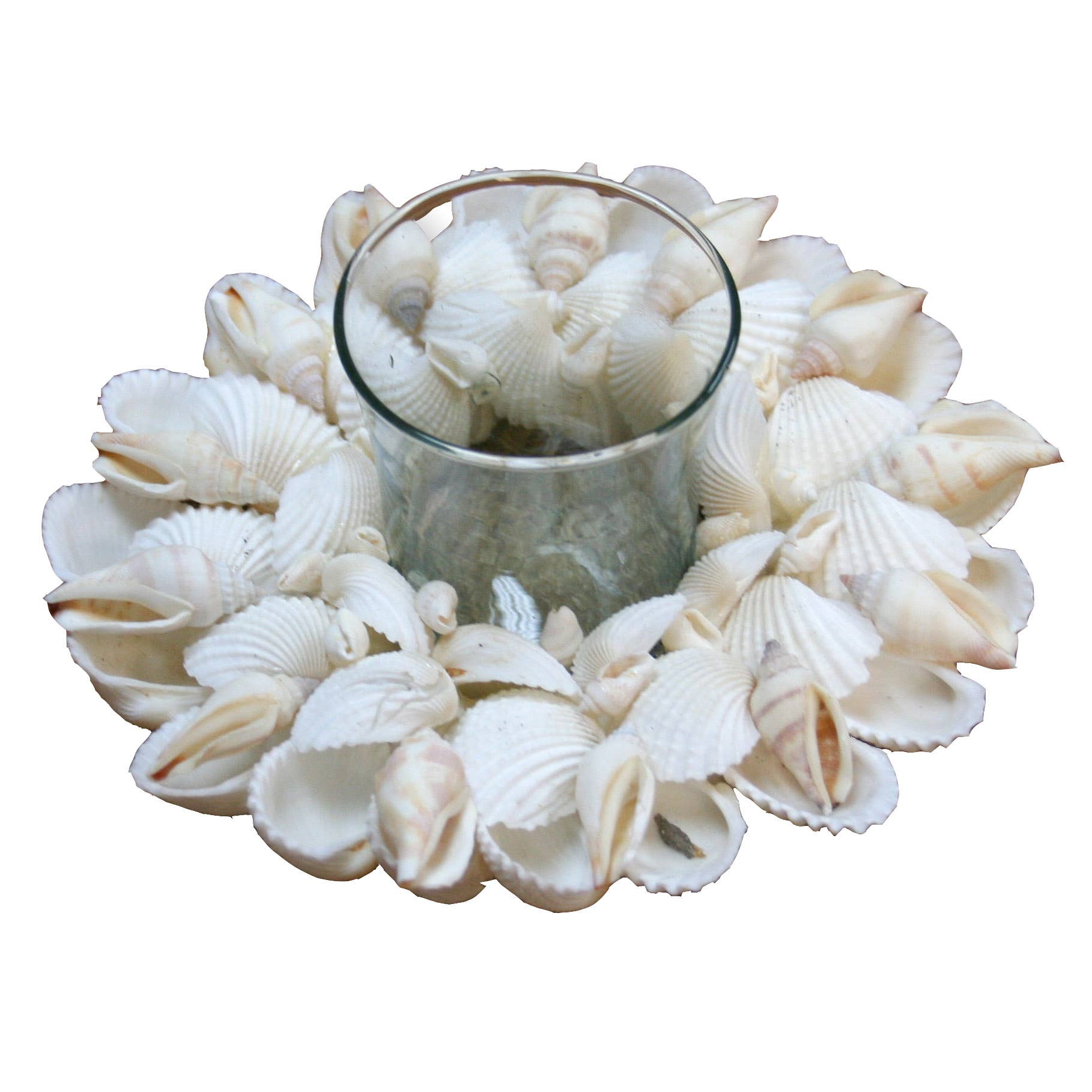 White Cockles Shell Glass Tealight Holder