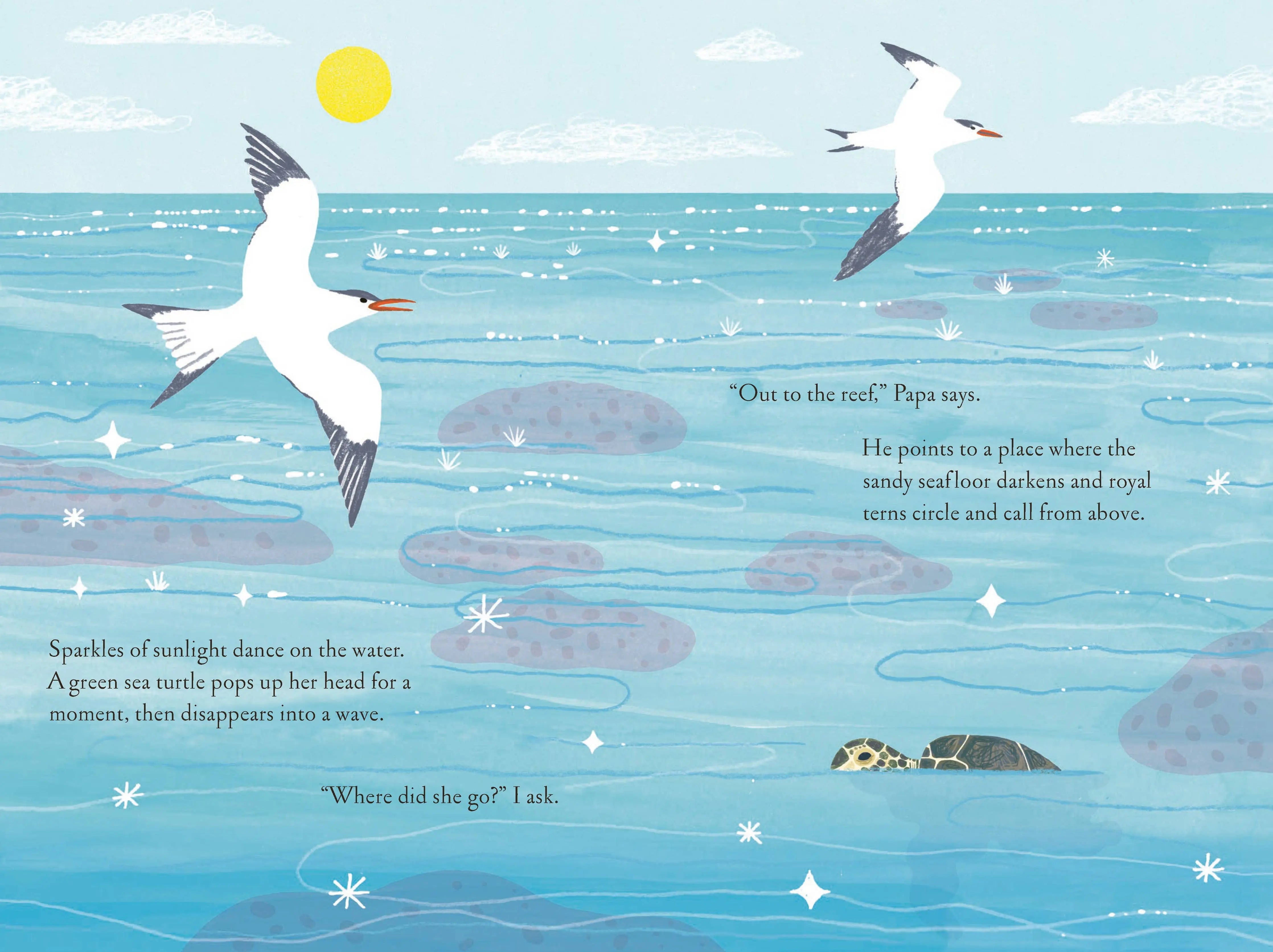 Over and Under the Coral Reef Chronicle Books