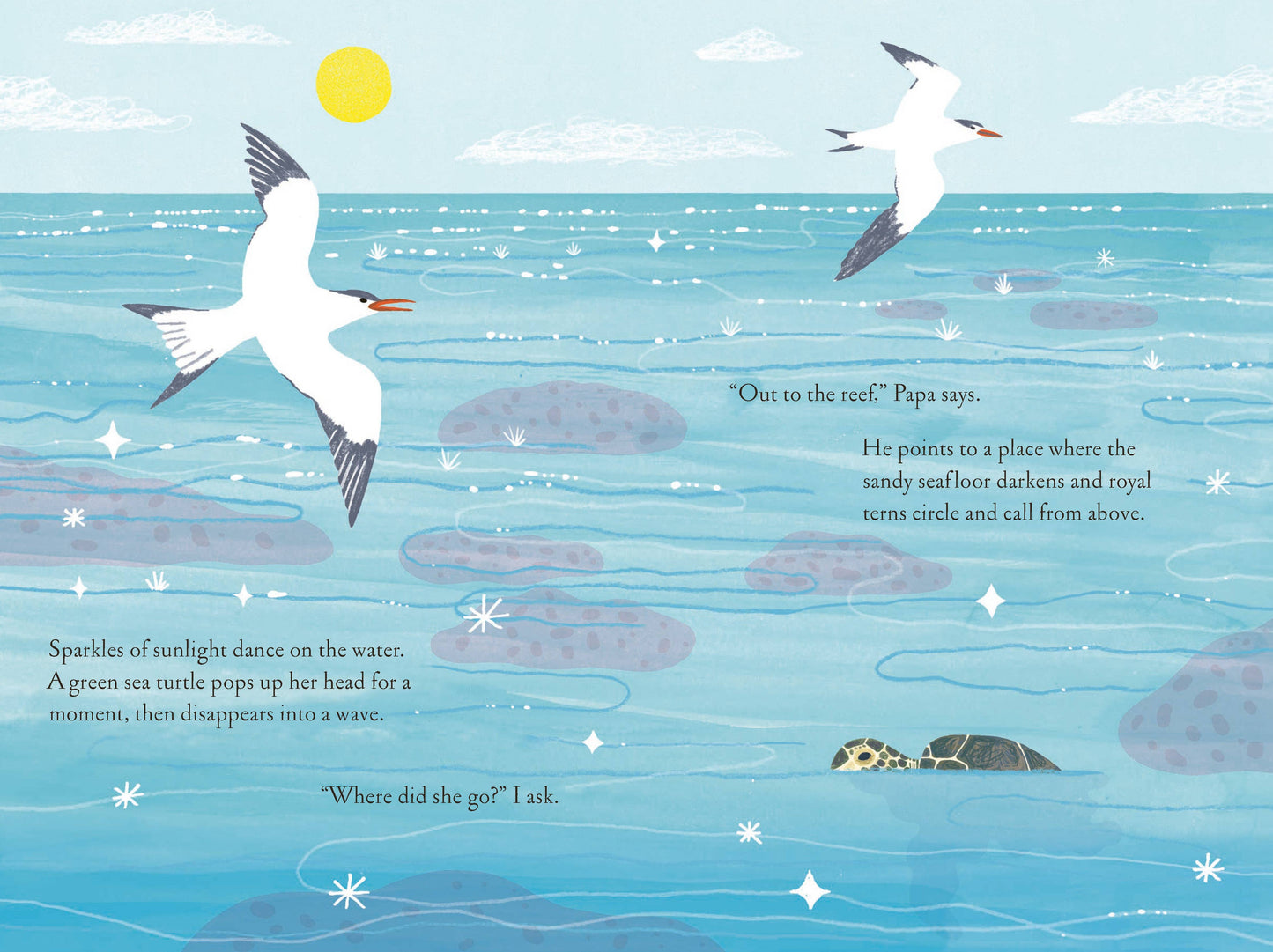 Over and Under the Coral Reef Chronicle Books