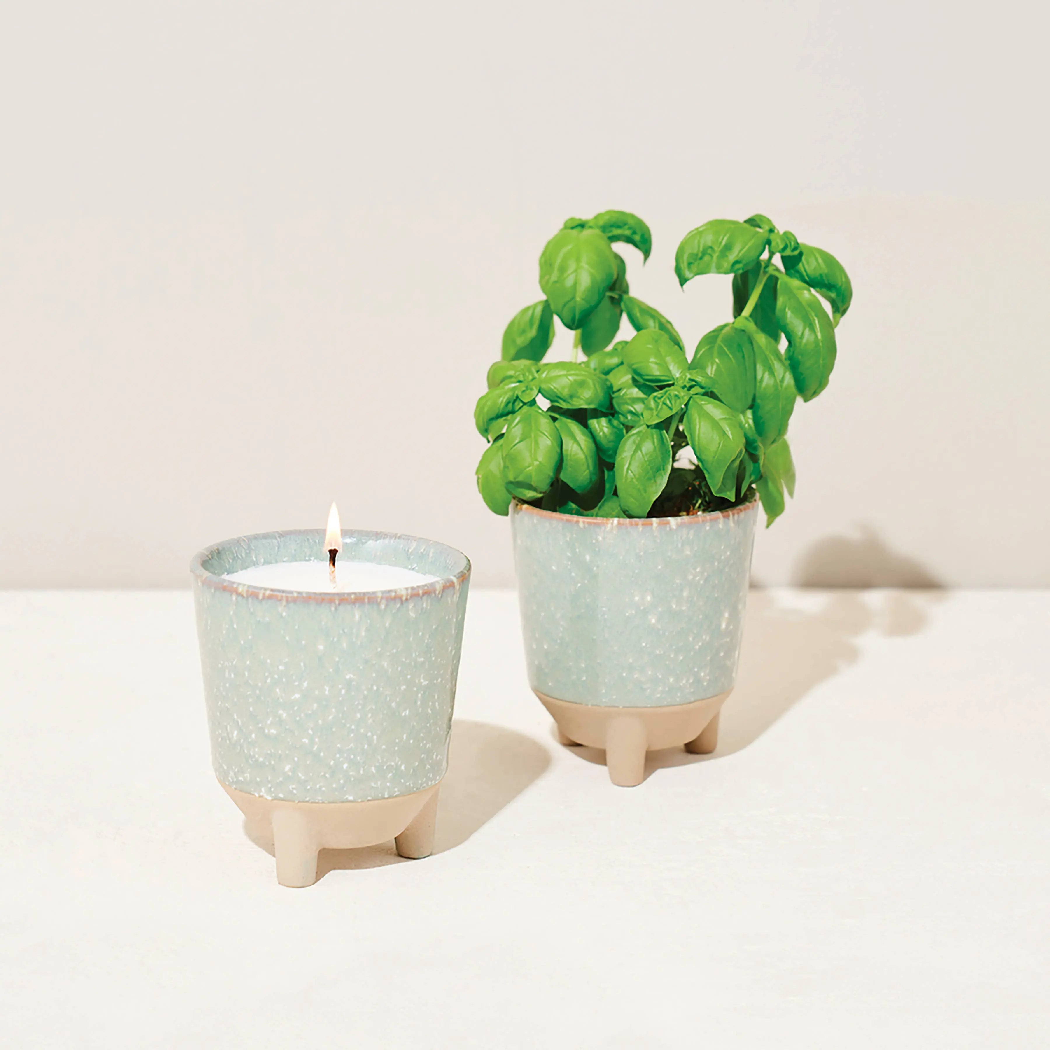 Glow & Grow 2-in-1 Candle + Grow Kit Modern Sprout