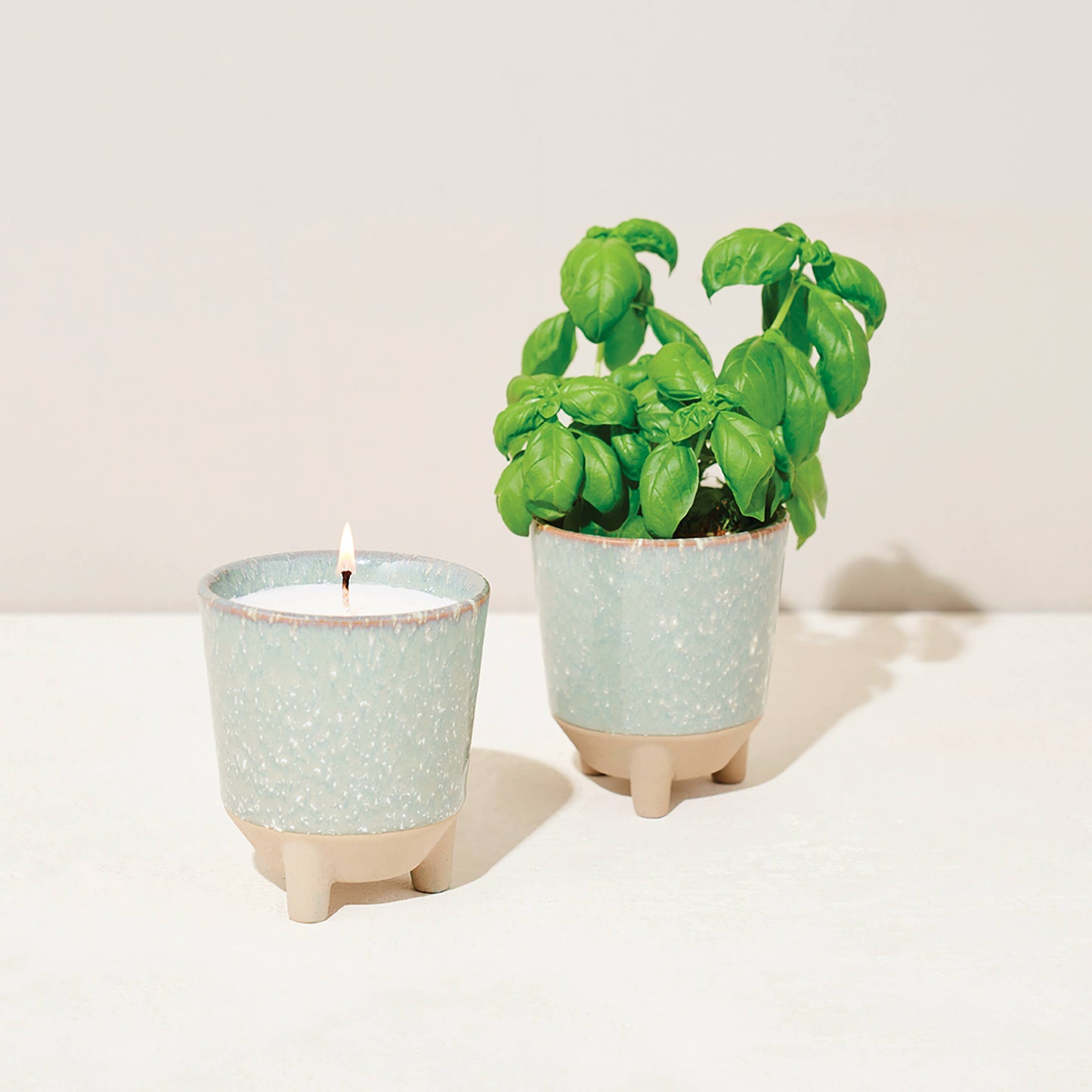 Glow & Grow 2-in-1 Candle + Grow Kit Modern Sprout