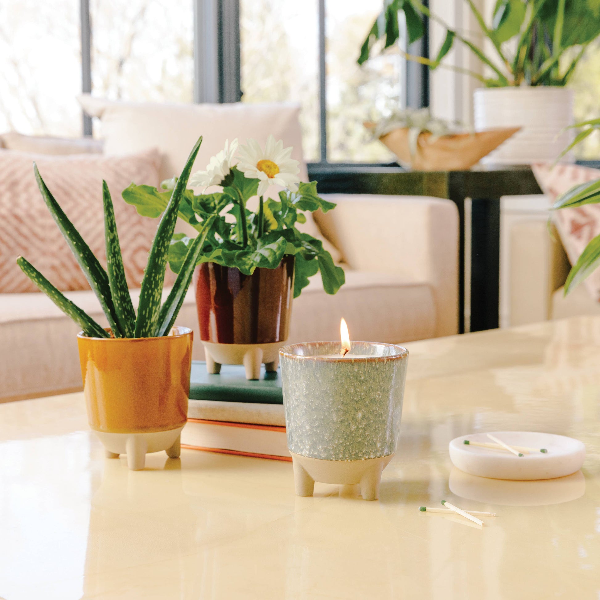 Glow & Grow 2-in-1 Candle + Grow Kit Modern Sprout