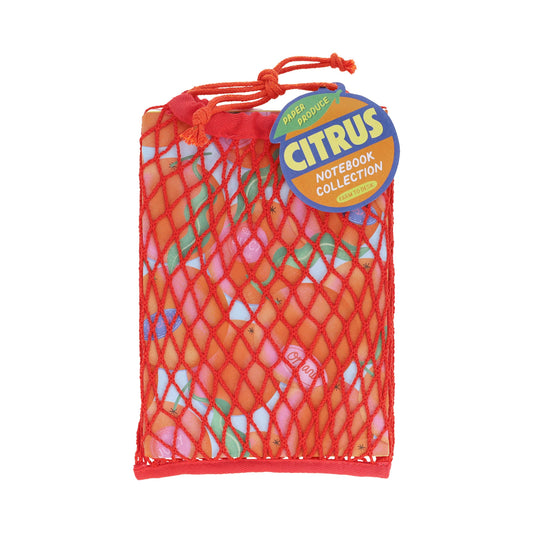 Paper Produce Citrus Notebook Collection Chronicle Books