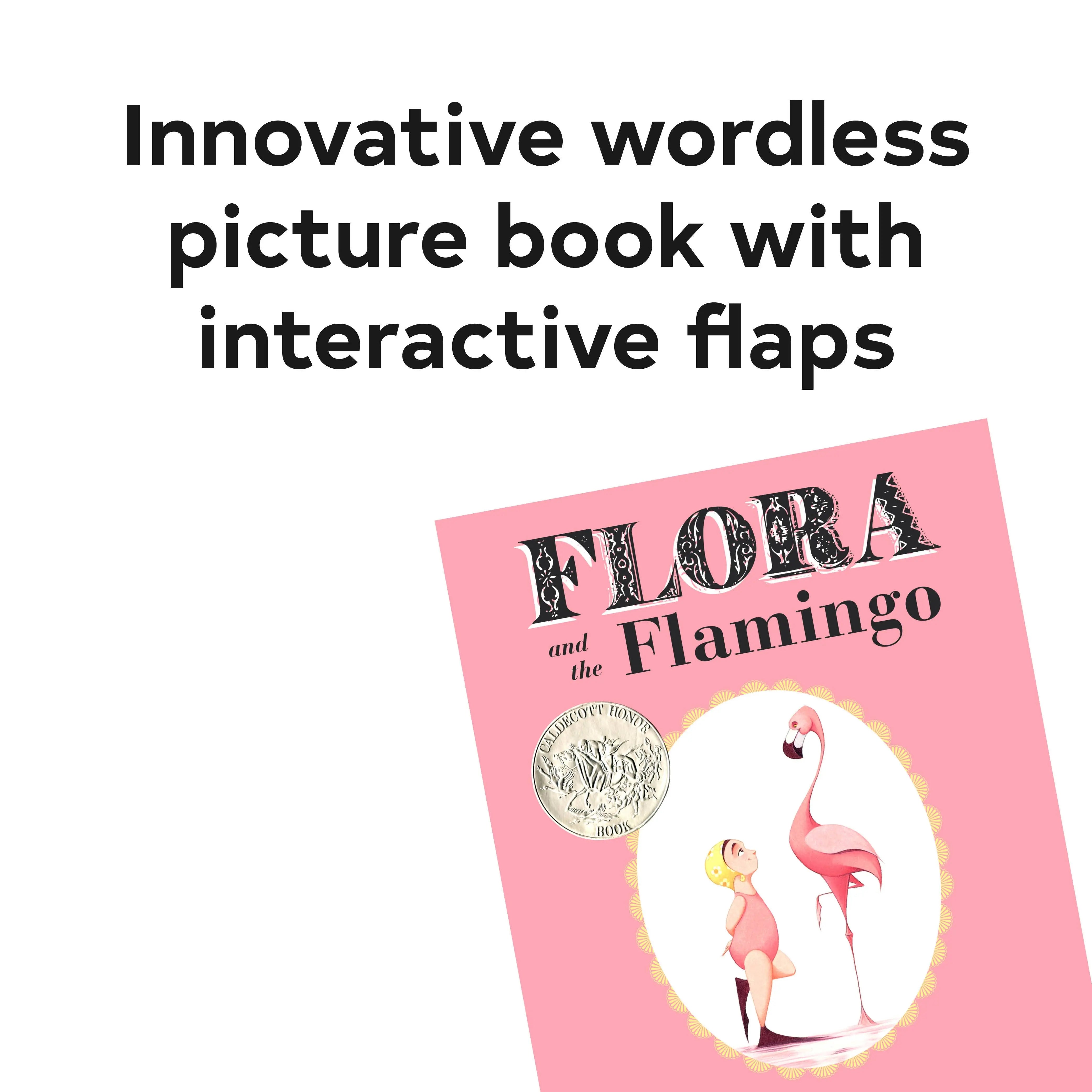 Flora and the Flamingo Chronicle Books