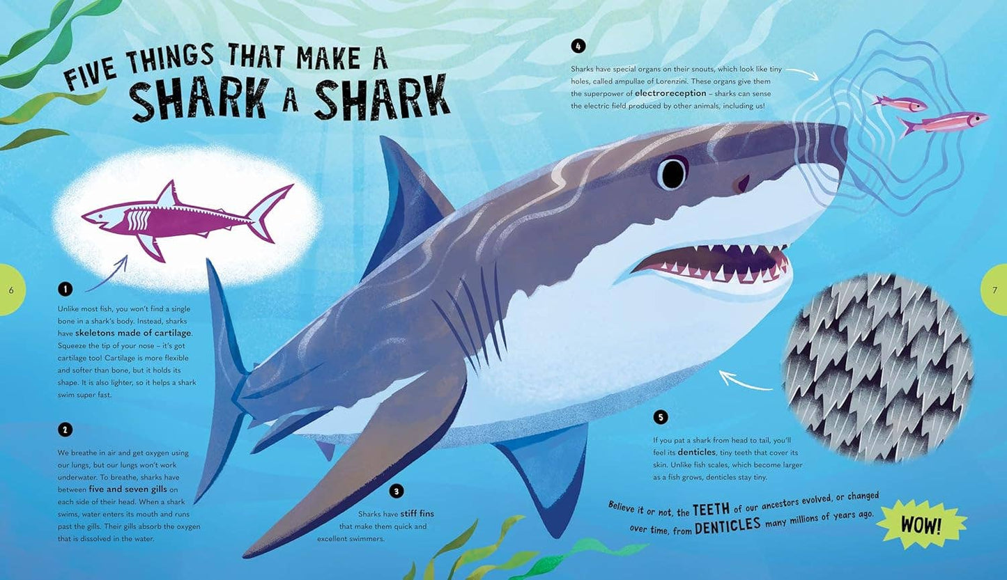 Sensational Sharks Chronicle Books