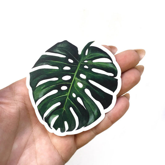Monstera Leaf Vinyl Plant Sticker
