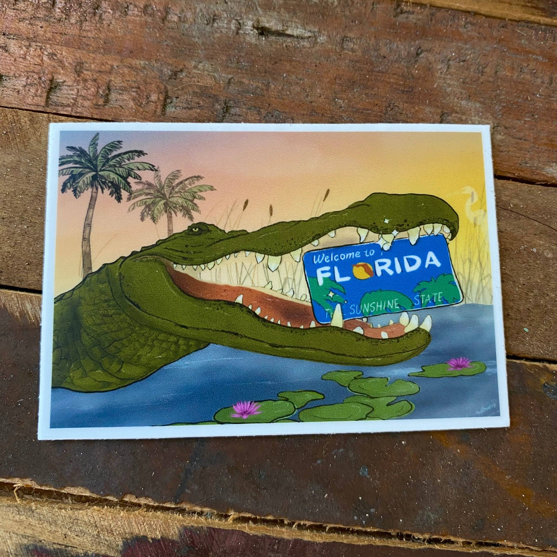 Florida Alligator Sticker Art By Hayle