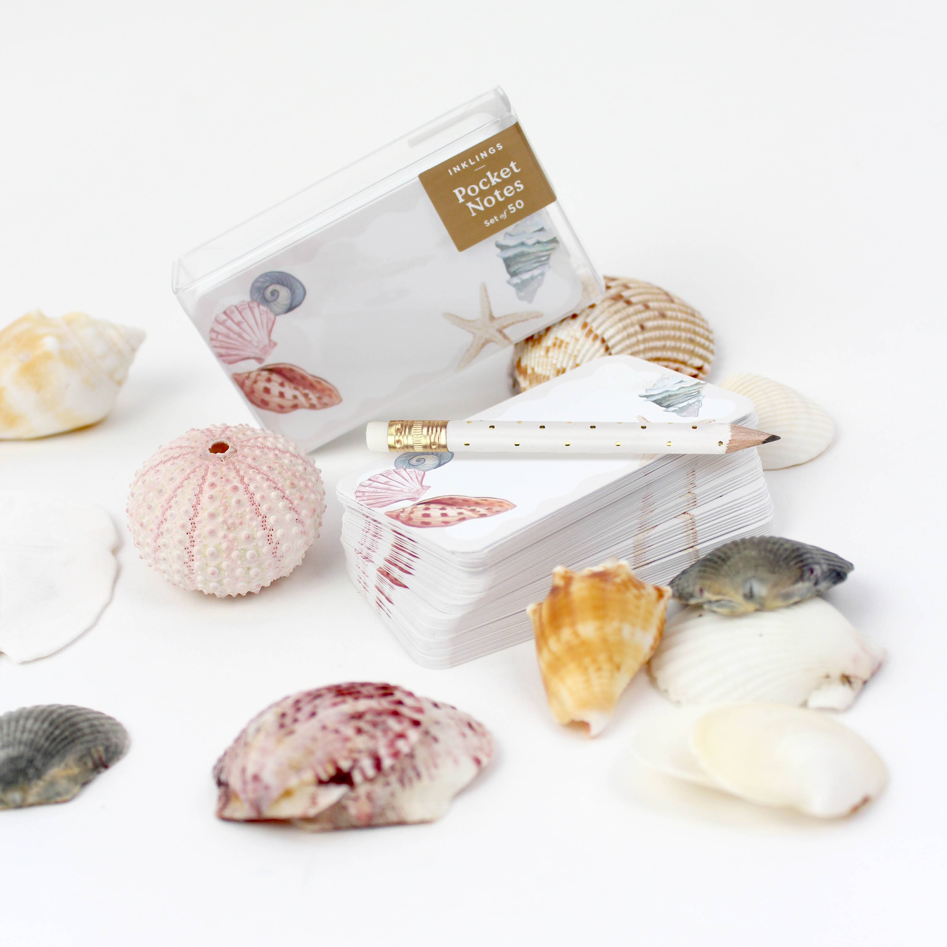 Seashells Pocket Notes