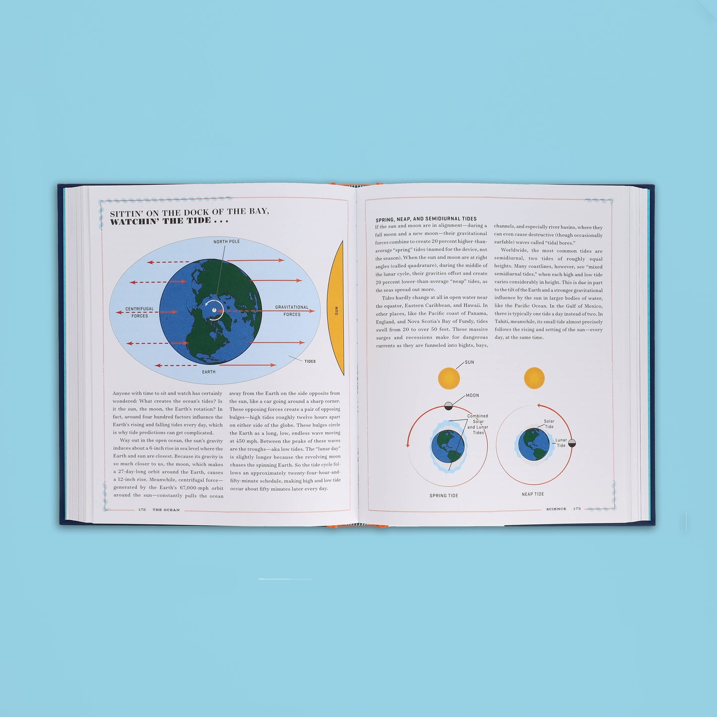 The Ocean Chronicle Books