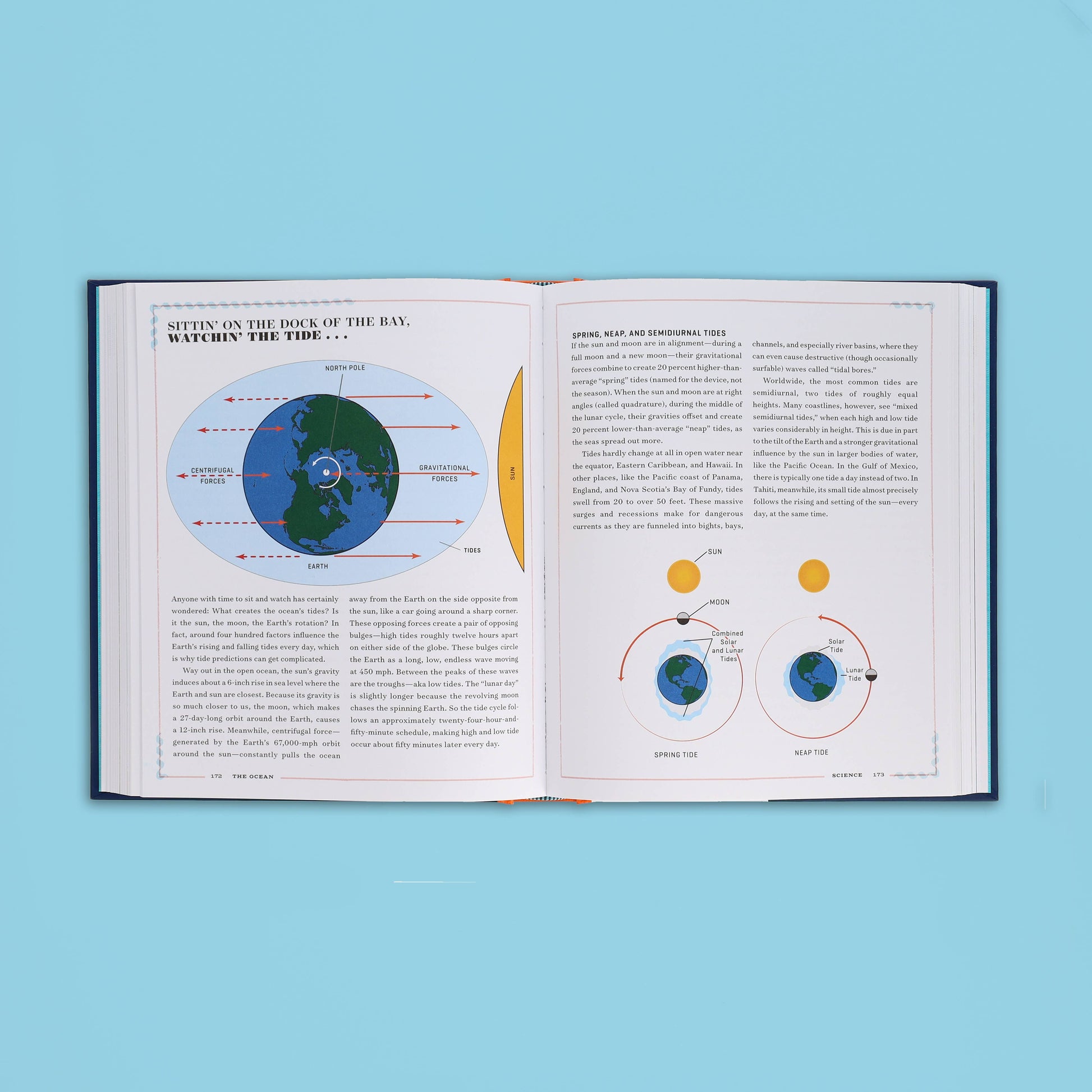 The Ocean Chronicle Books