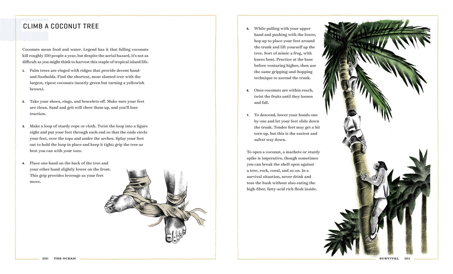 The Ocean Chronicle Books