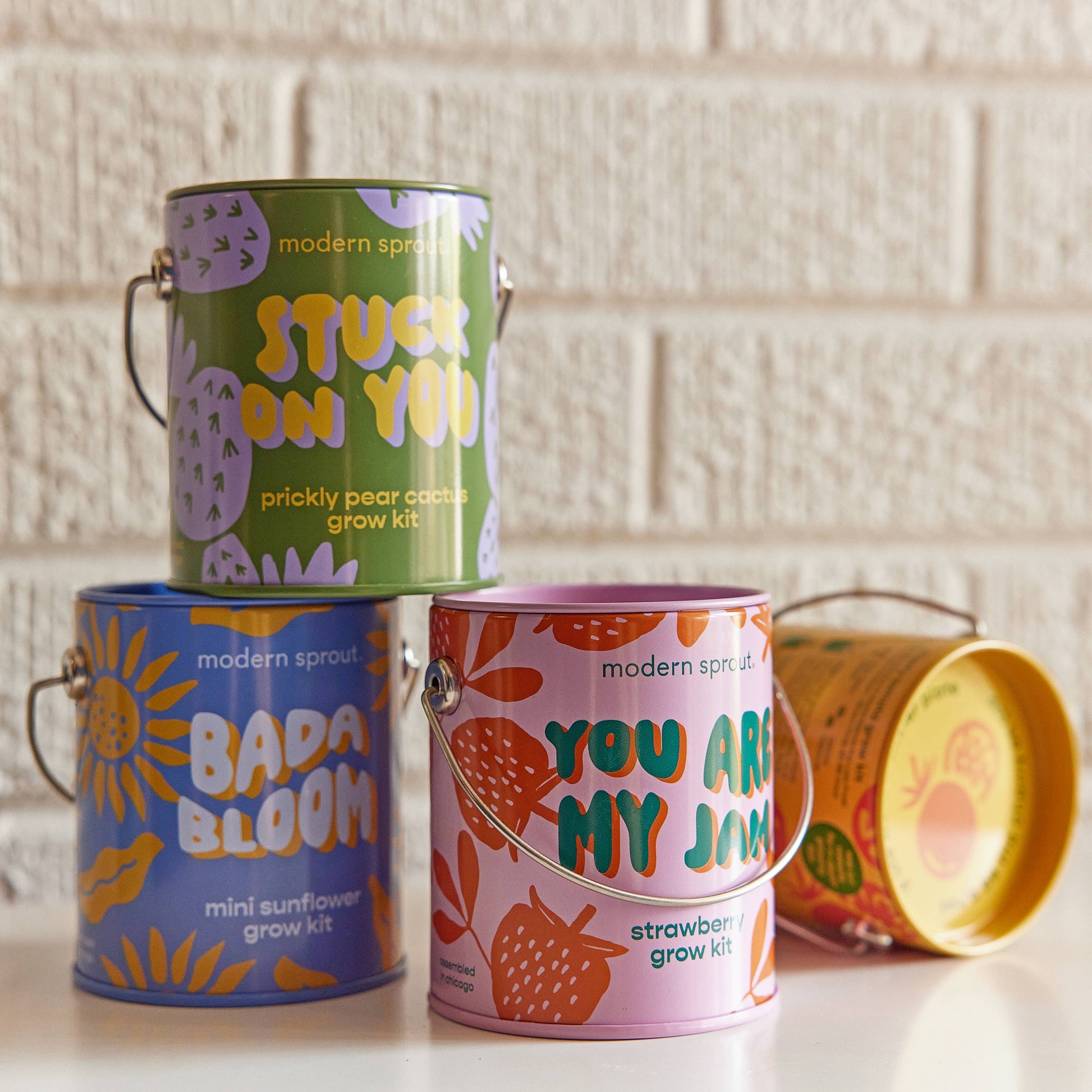 Complimentary Color Grow Kits Modern Sprout