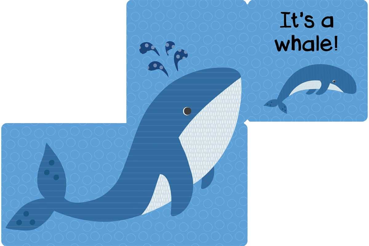 Who Am I? Under The Sea