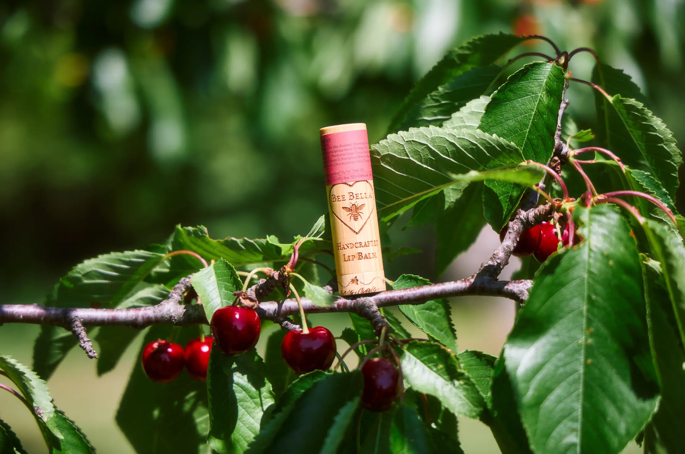 Cherry Lip Balm Bee Bella