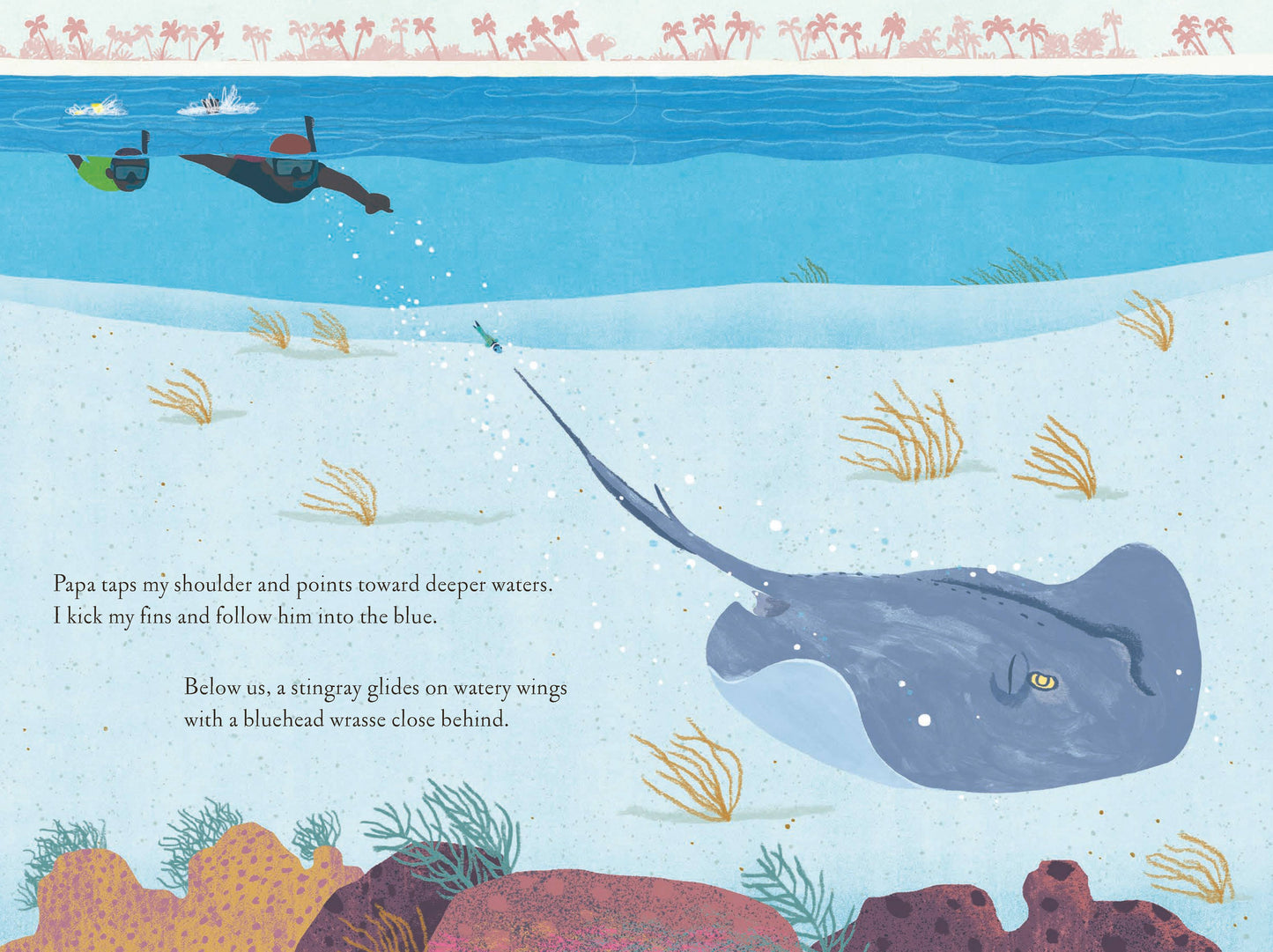 Over and Under the Coral Reef Chronicle Books