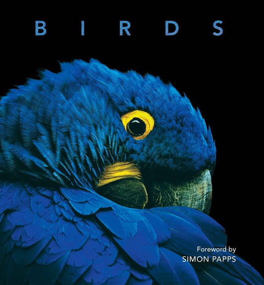 Birds (Photography) Independent Publishers Group