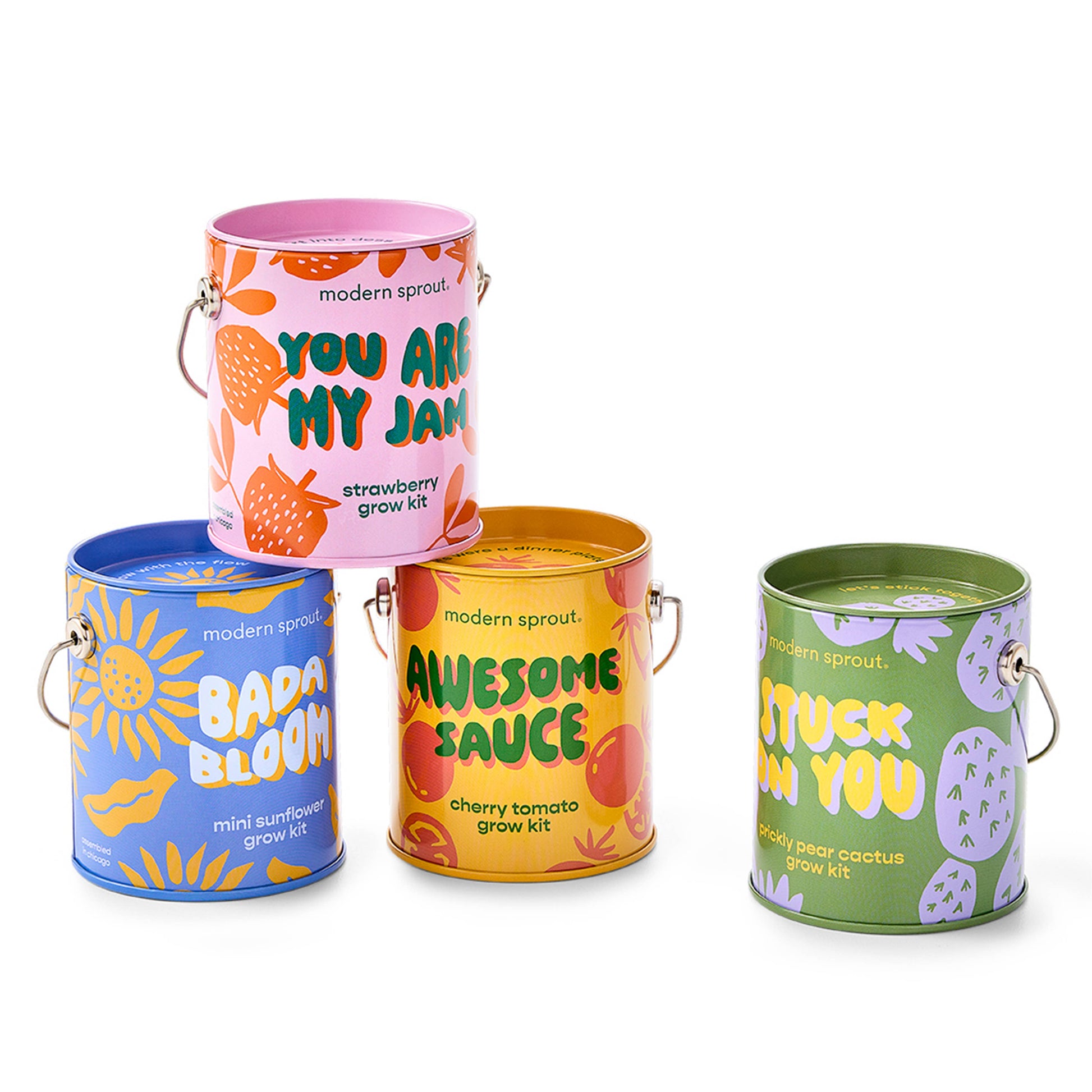 Complimentary Color Grow Kits Modern Sprout