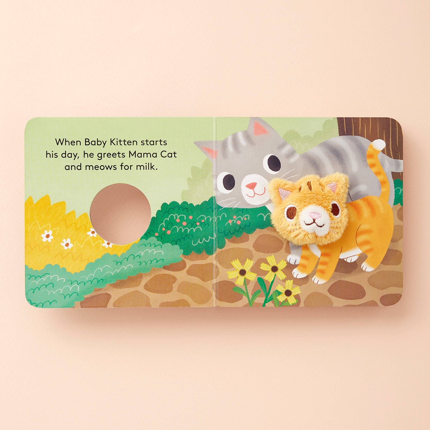 Baby Kitten Chronicle Books