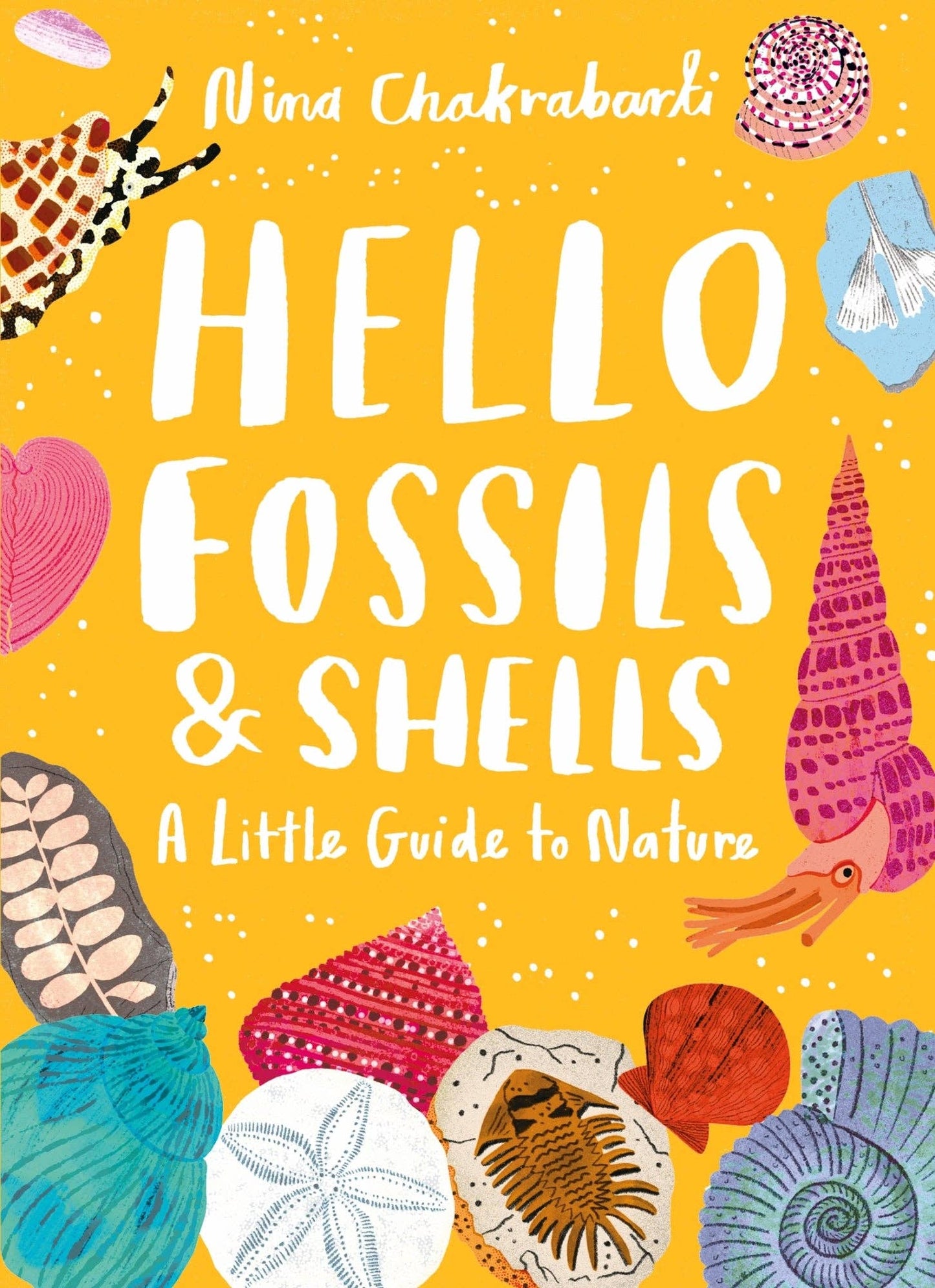 Hello Fossils and Shells Little Guides to Nature: