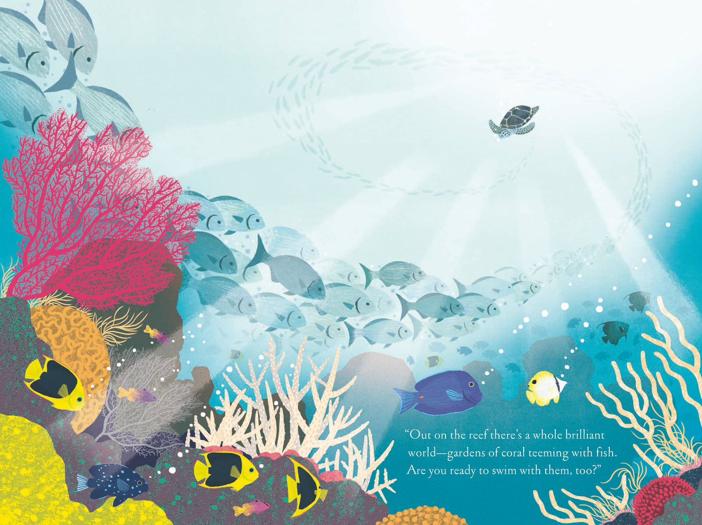Over and Under the Coral Reef Chronicle Books