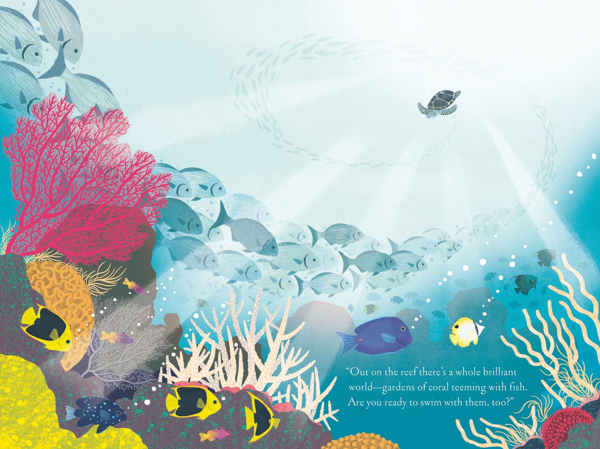 Over and Under the Coral Reef Chronicle Books