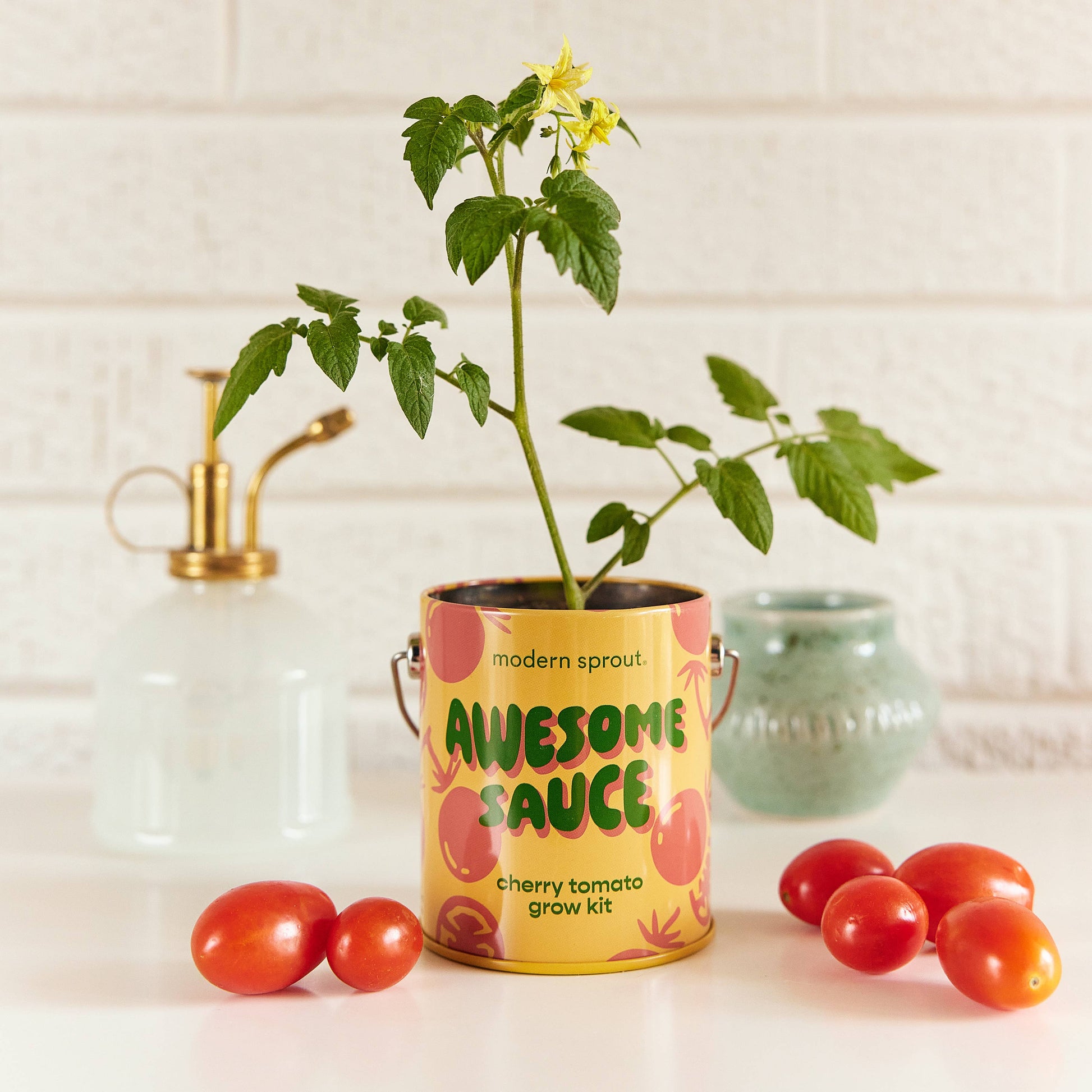 Complimentary Color Grow Kits Modern Sprout