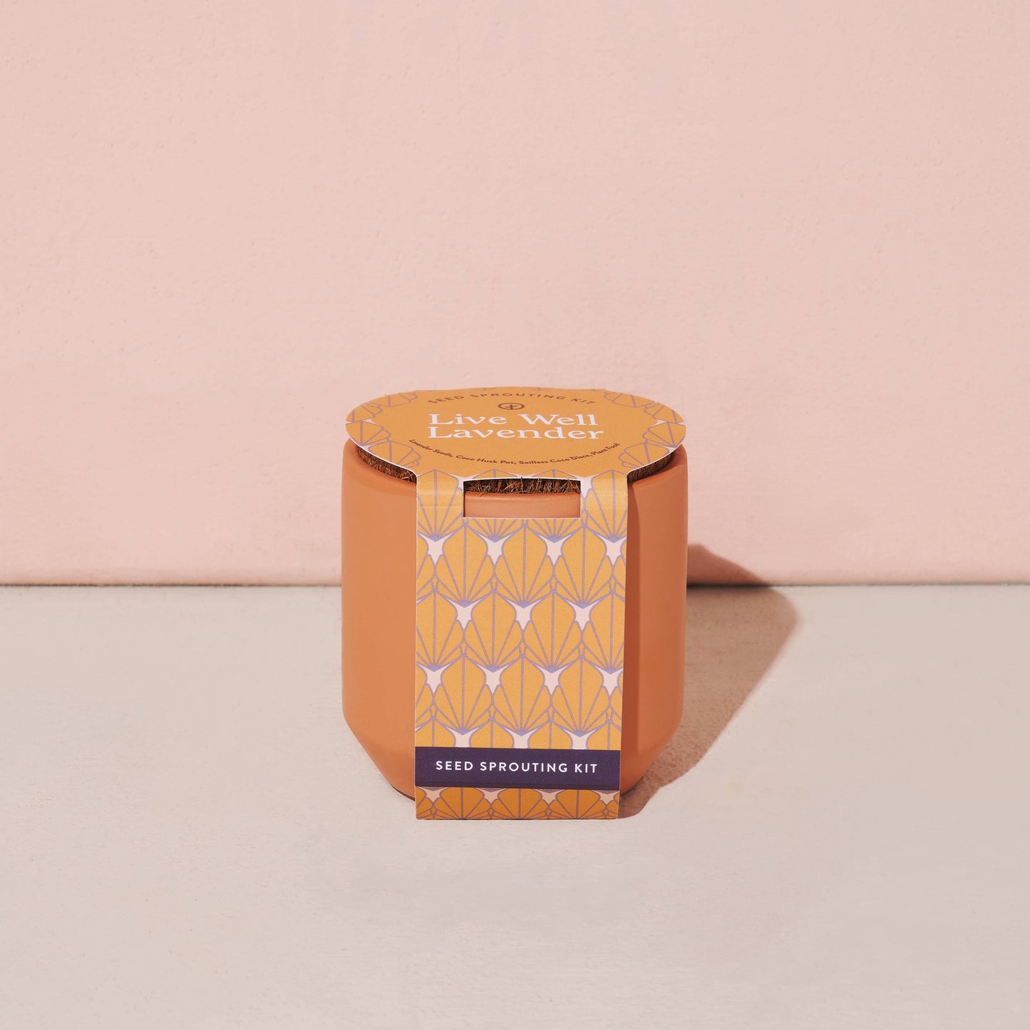 Tiny Terracotta Grow Kits Modern Sprout