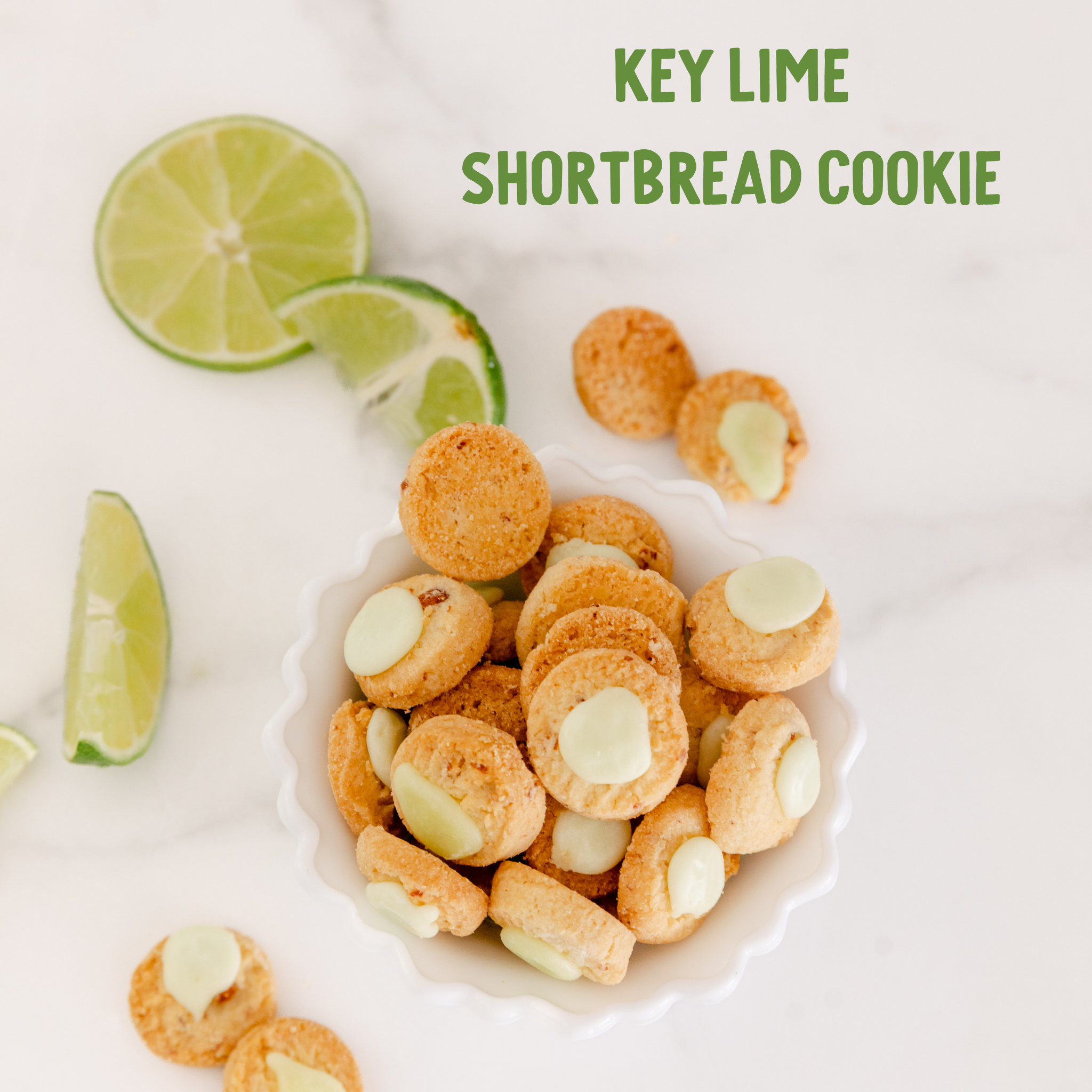 Florida State Gift Tin | Gourmet Shortbread Cookies or Nuts Watanut