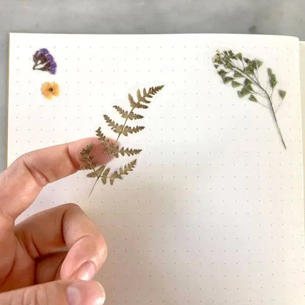 Pressed Flowers Sticker Sheet Botanopia USA - gifts , decor and cards for plant lovers